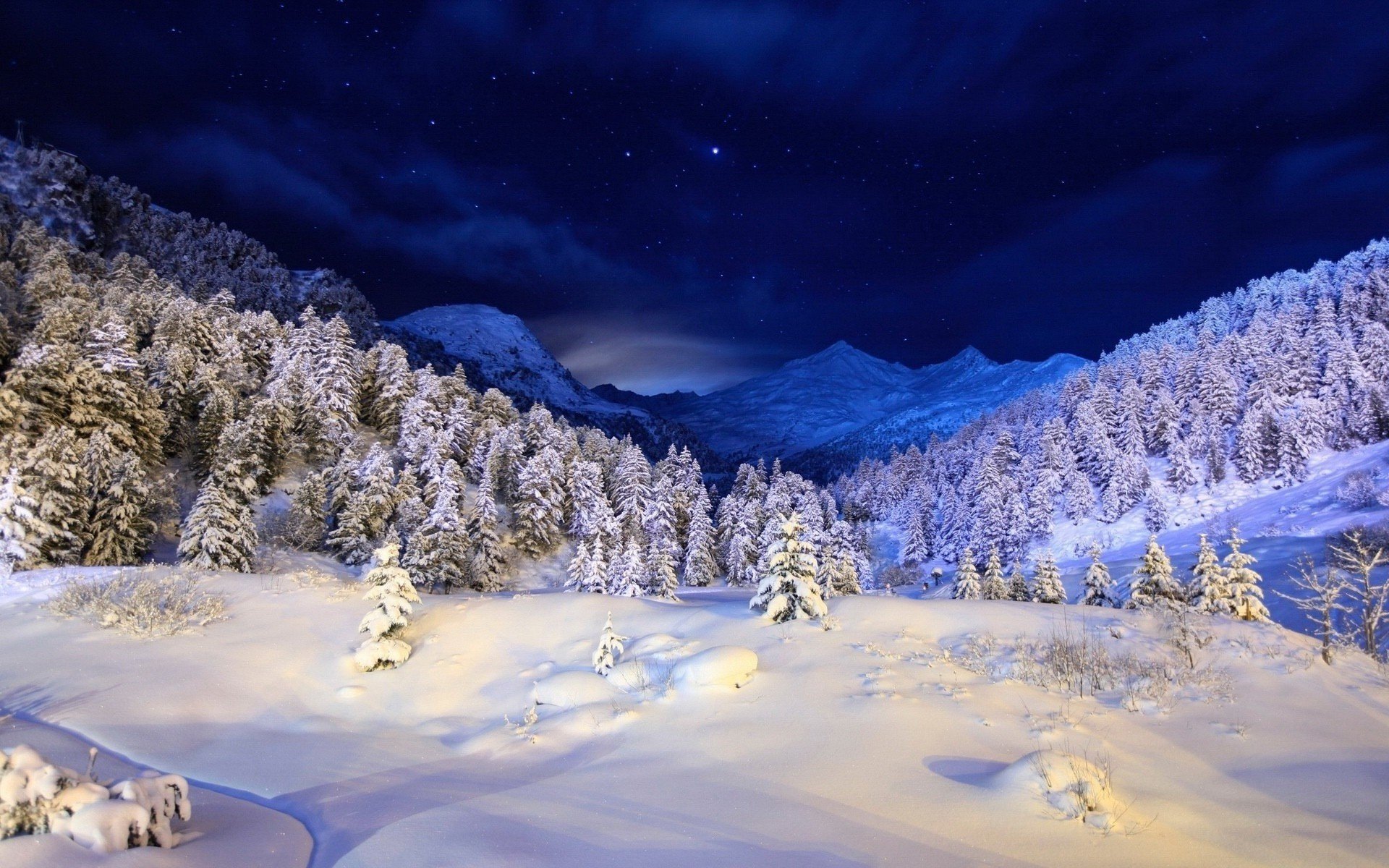 montagnes neige hiver forêt