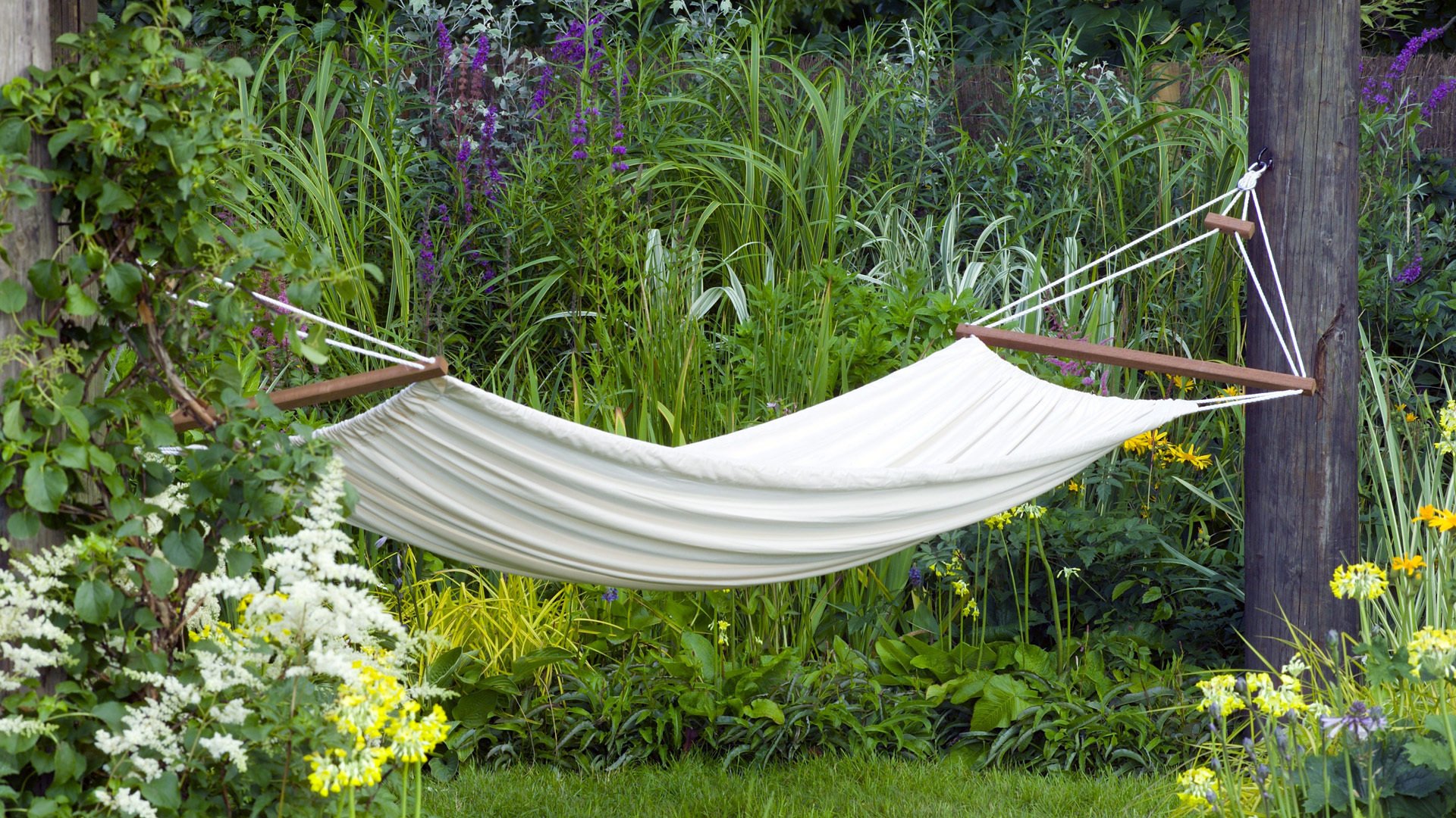 white hammock forest grass flower sports relax