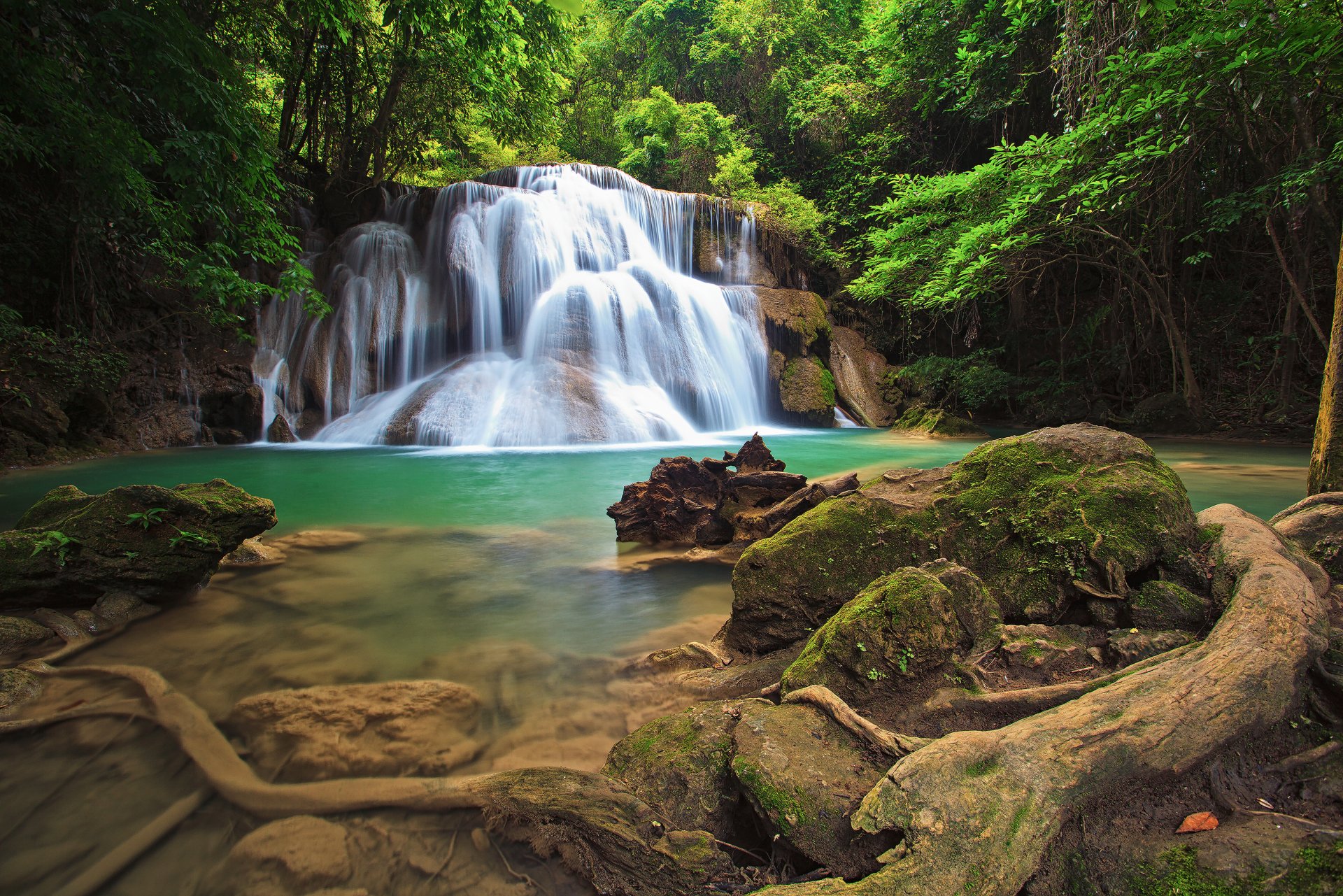 foresta alberi rocce muschio cascata crepuscolo