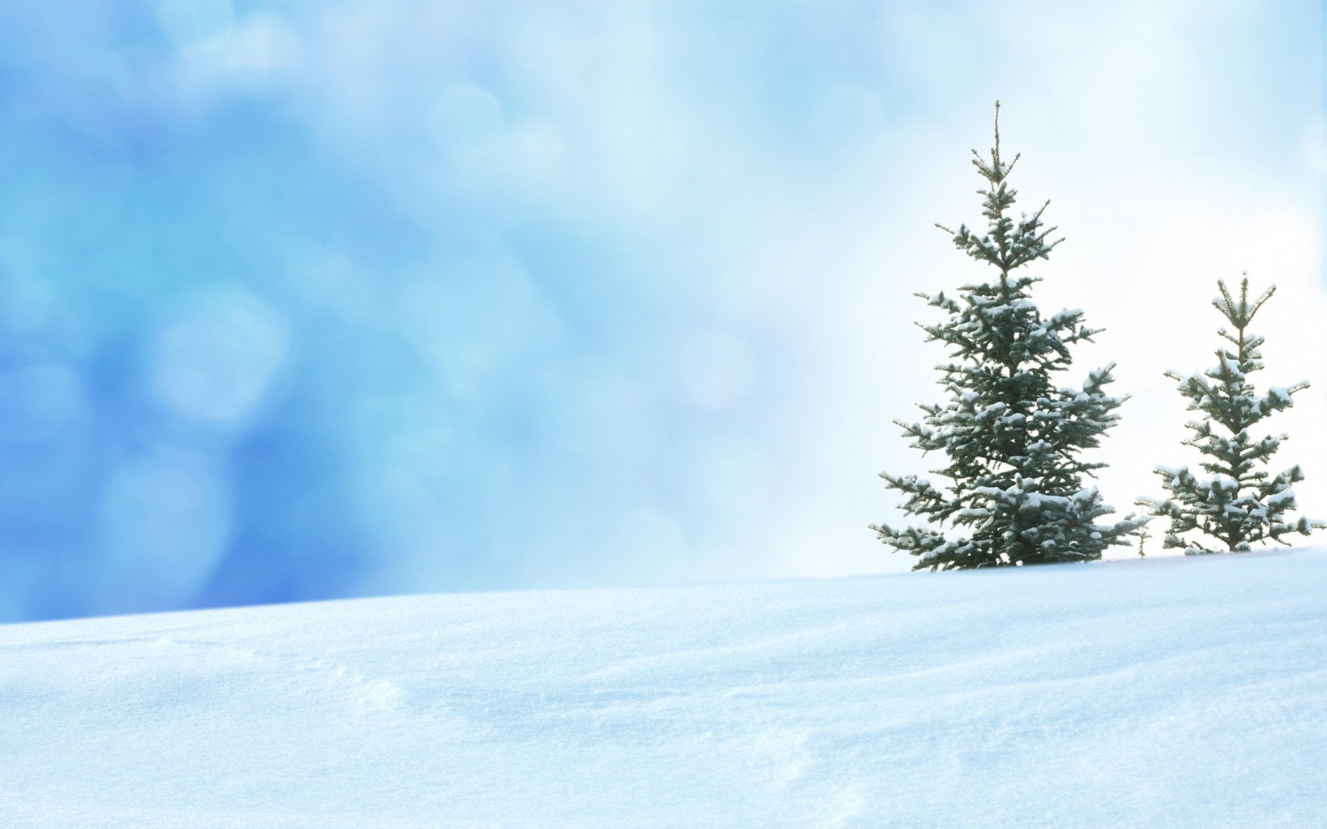 nature landscape snow winter tree