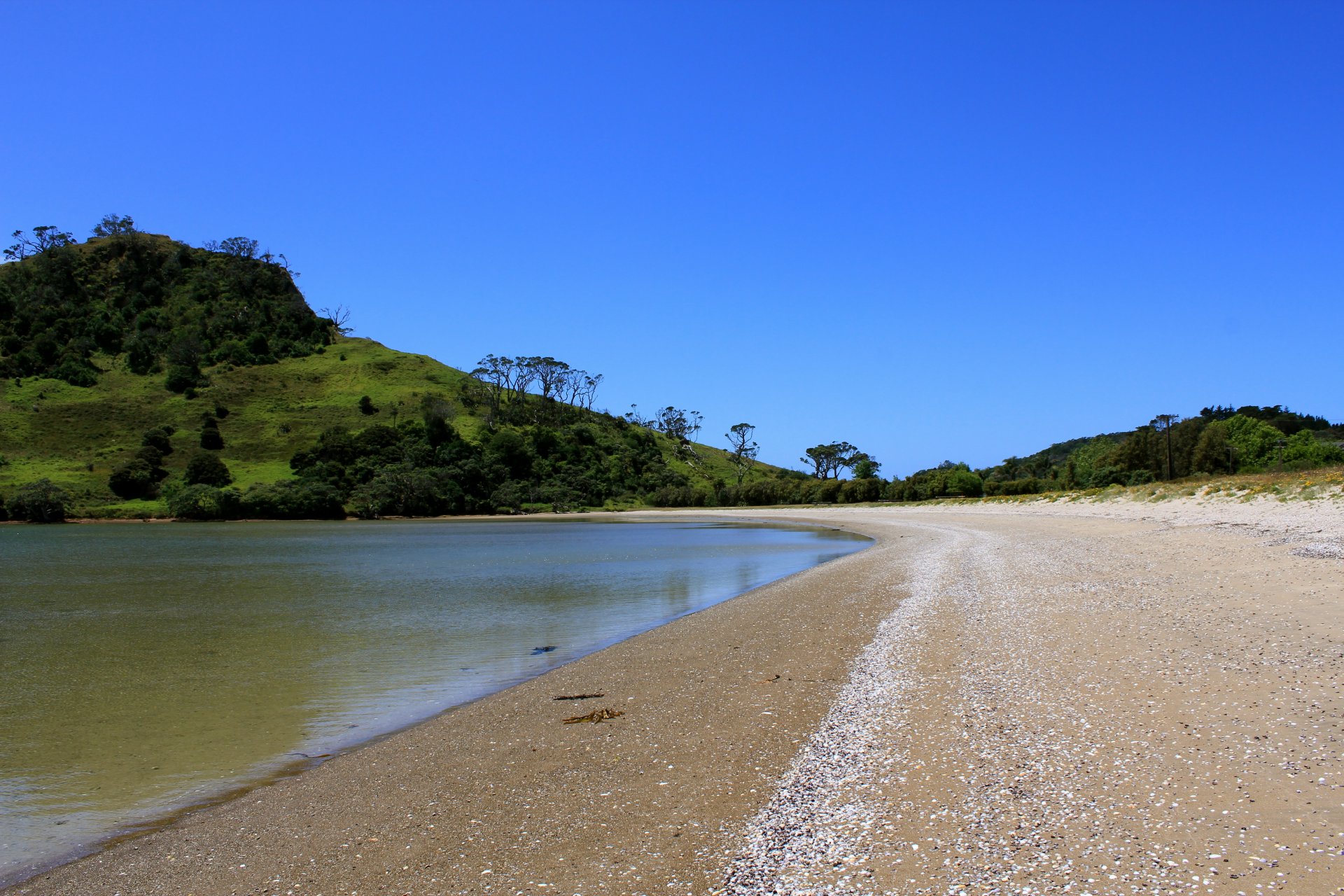 lake water beach sand tree hills green