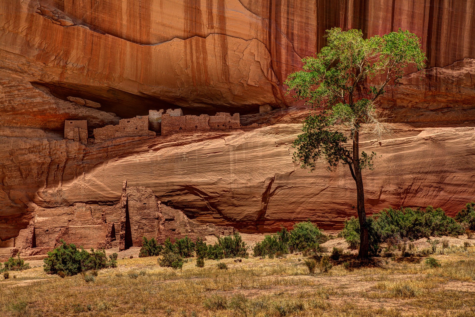 natura canyon stati uniti rocce legno abitazioni disegni