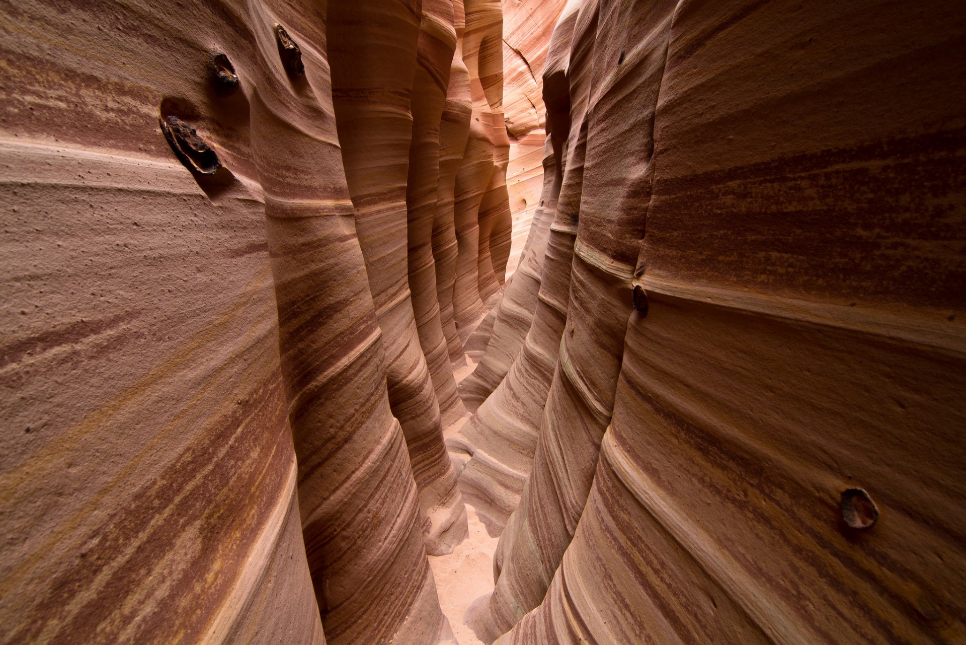 utah usa canyon della zebra rocce struttura