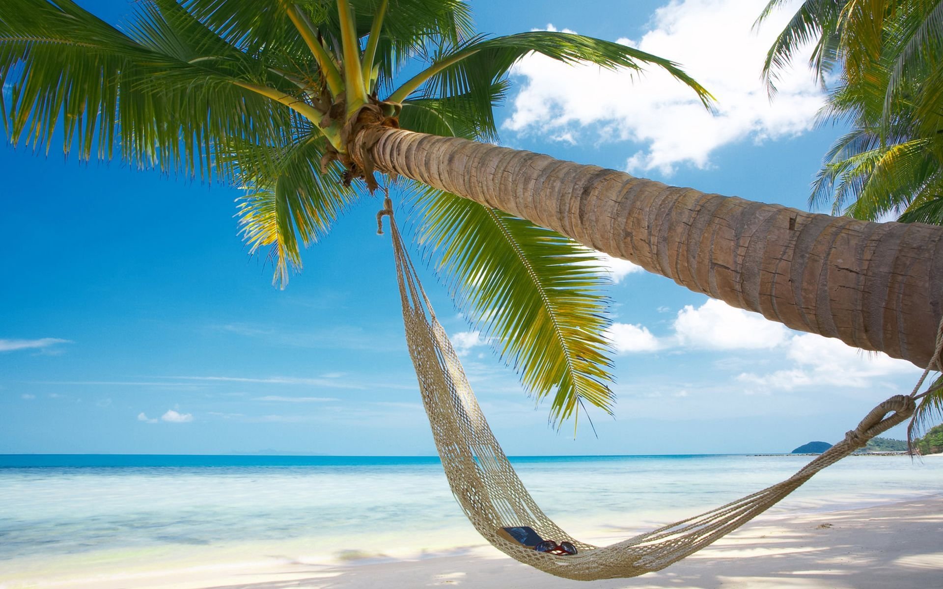 sommer hitze meer strand palme sand hängematte urlaub buch brille sonne