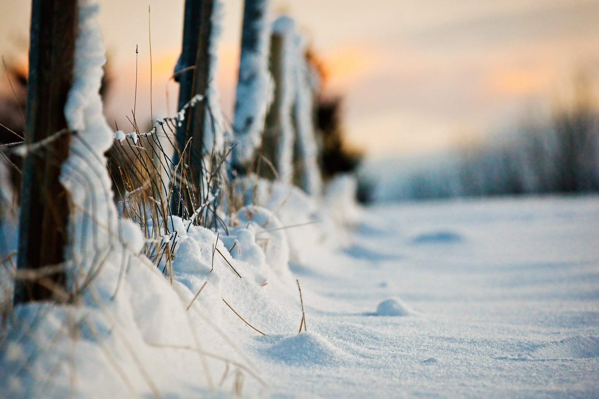 gros plan hiver neige clôture soirée