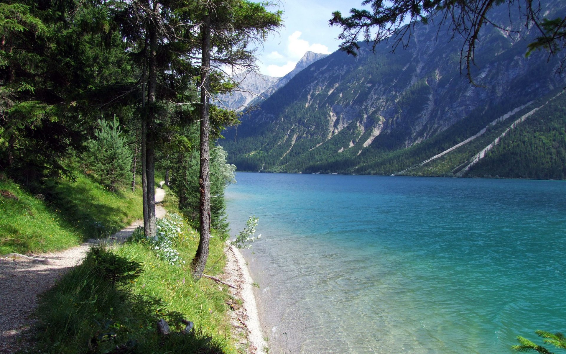 lake trail tree mountain water beach gra