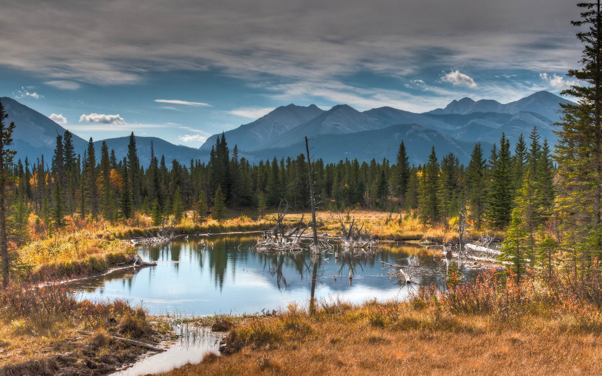 mountain forest grass autumn lake water