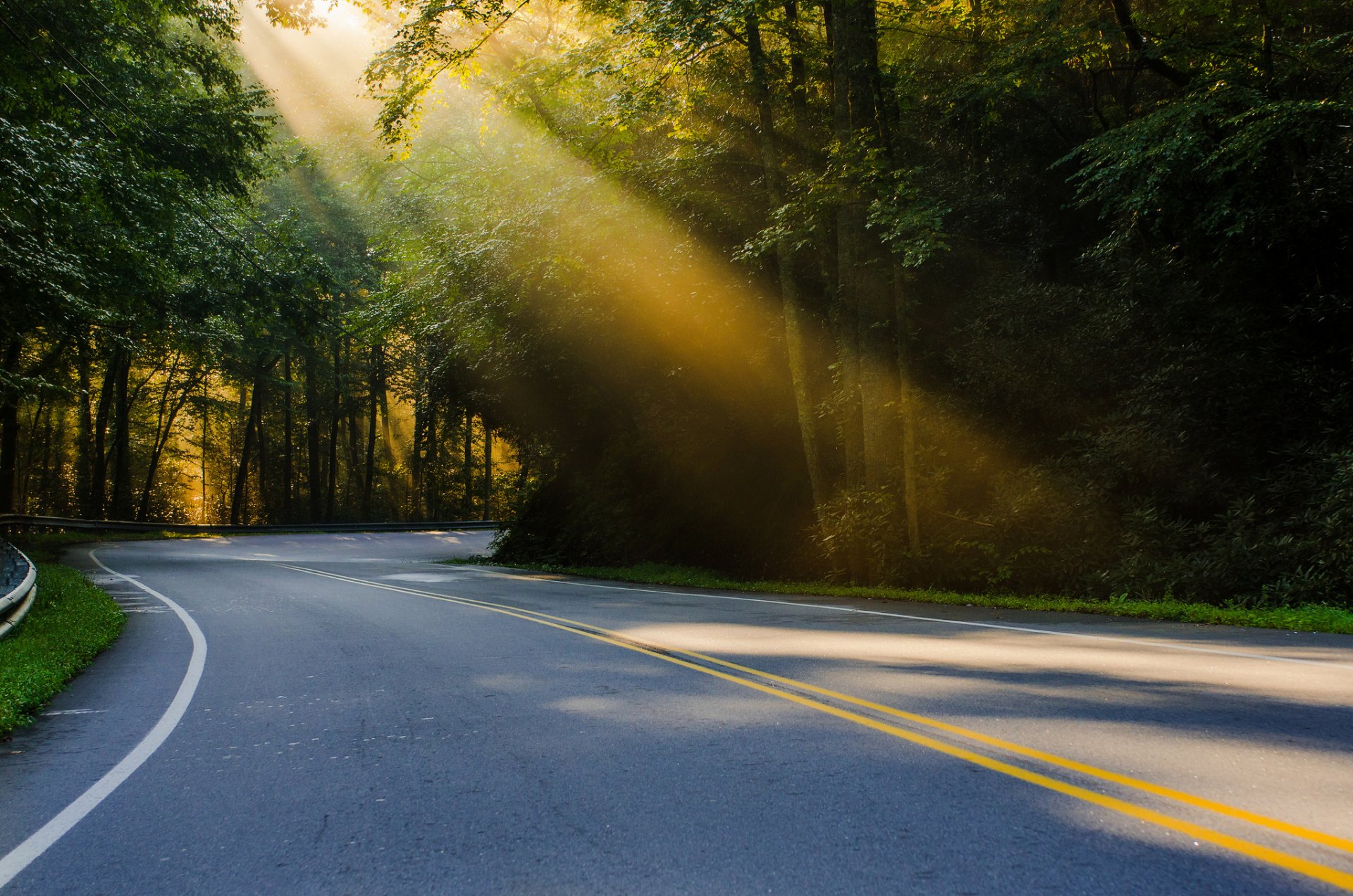 stati uniti carolina del nord natura strada foresta luce sonce estate regularjoe fotografia