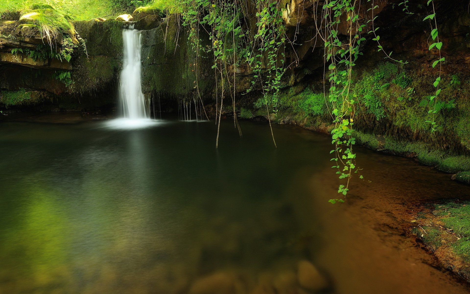 bach wasserfall wald natur