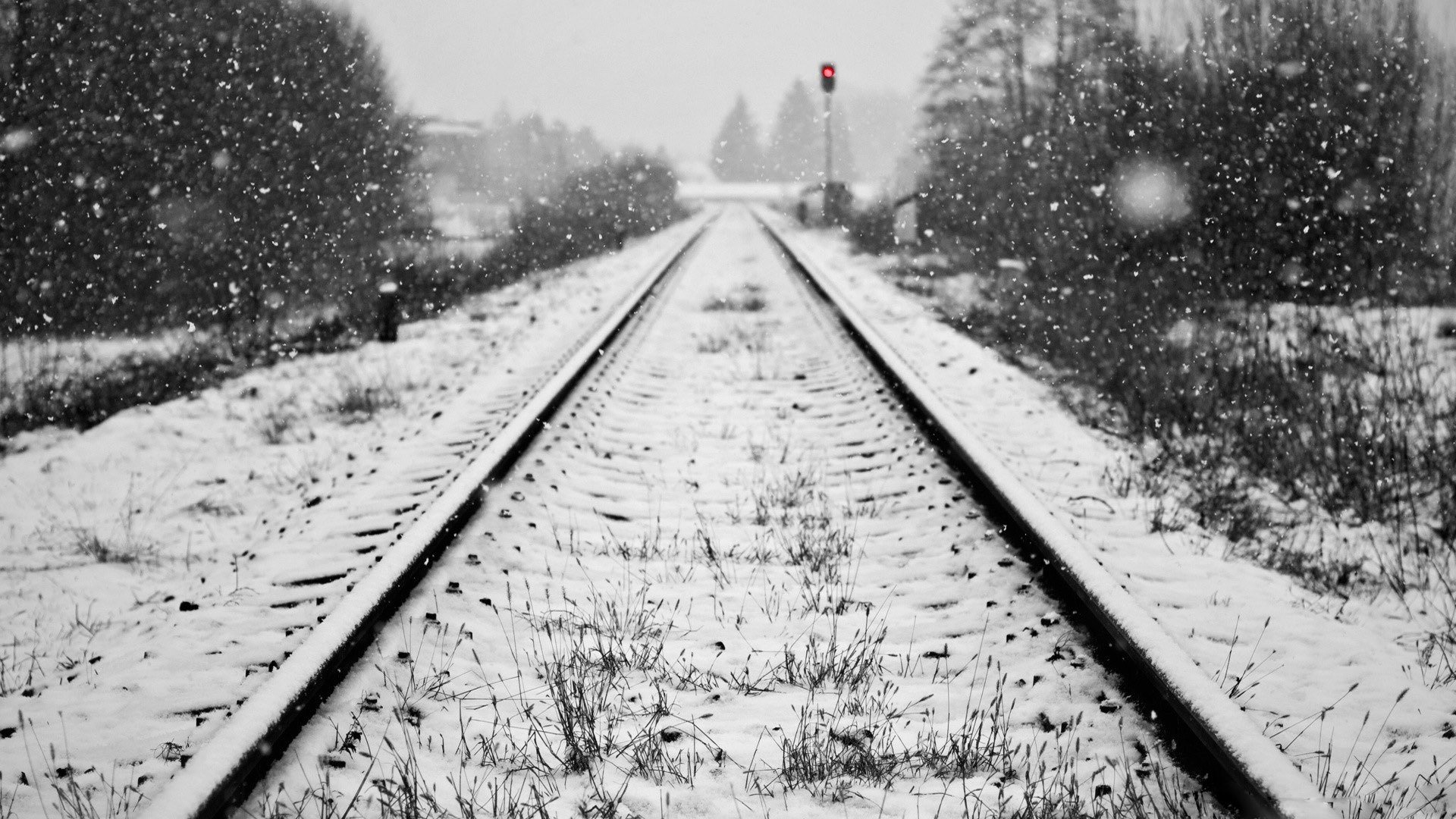 rails neige hiver