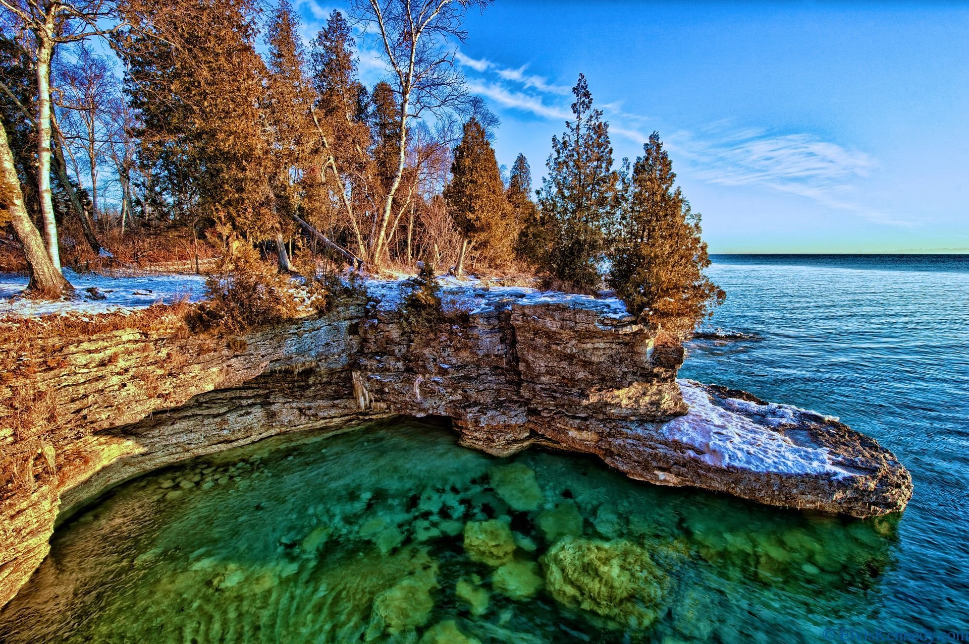 lake michigan rock tree beach