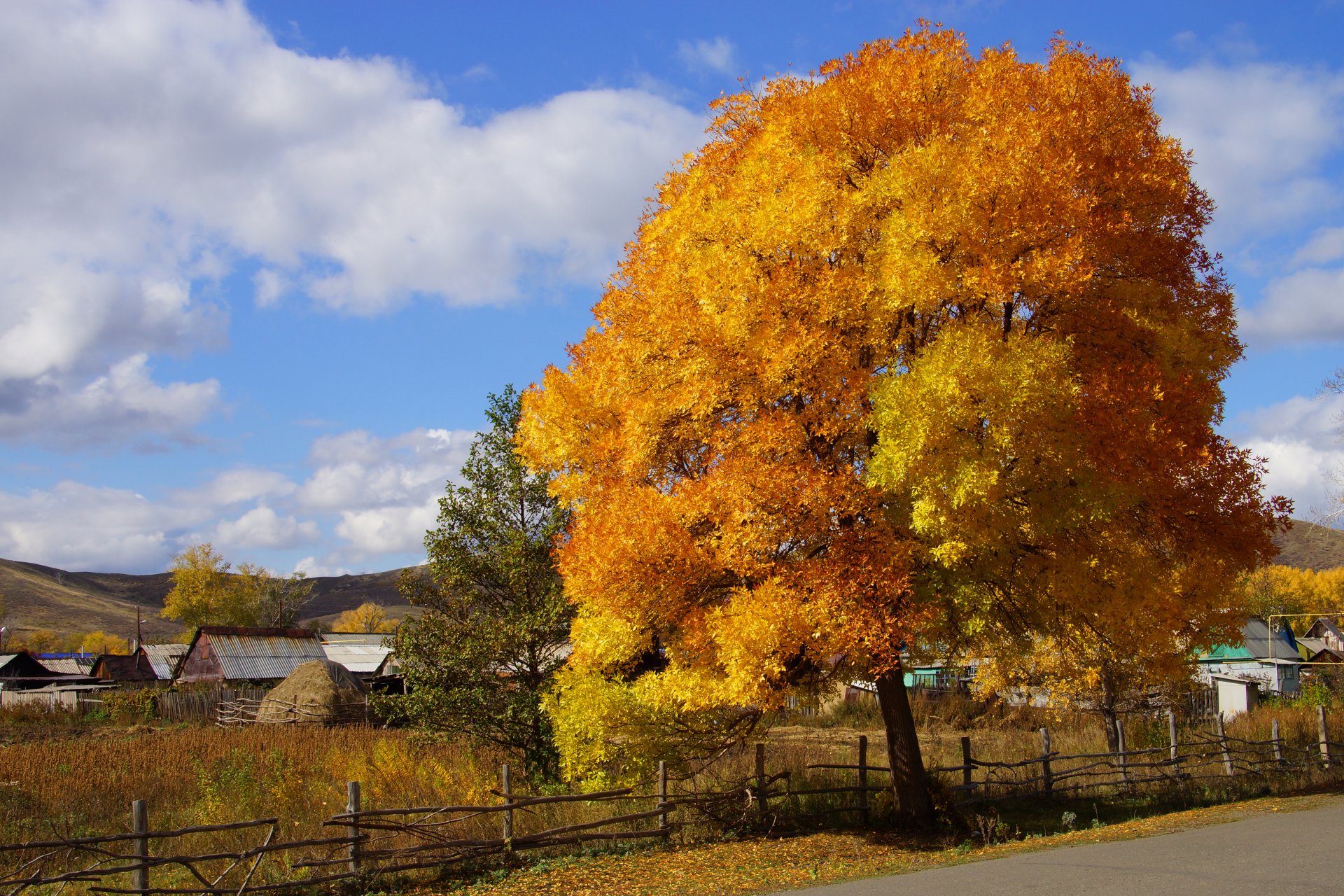 nature automne village bois peintures