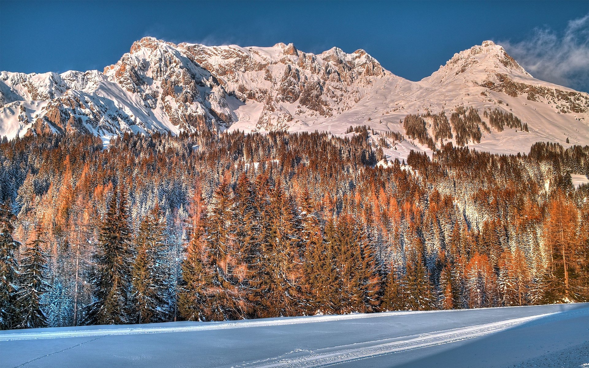 berge wald schnee winter bäume