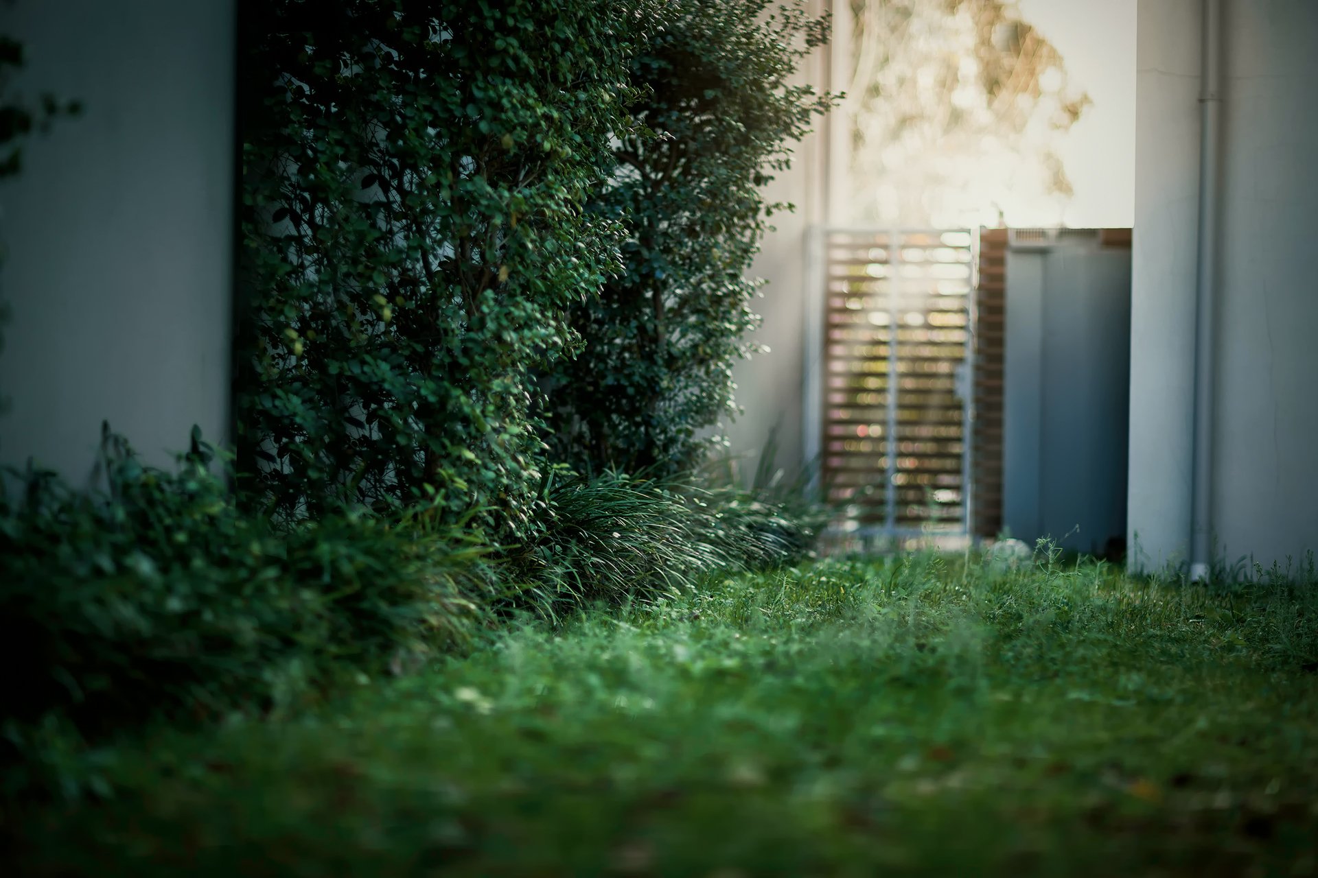 yard grass bush doors light reflections bokeh