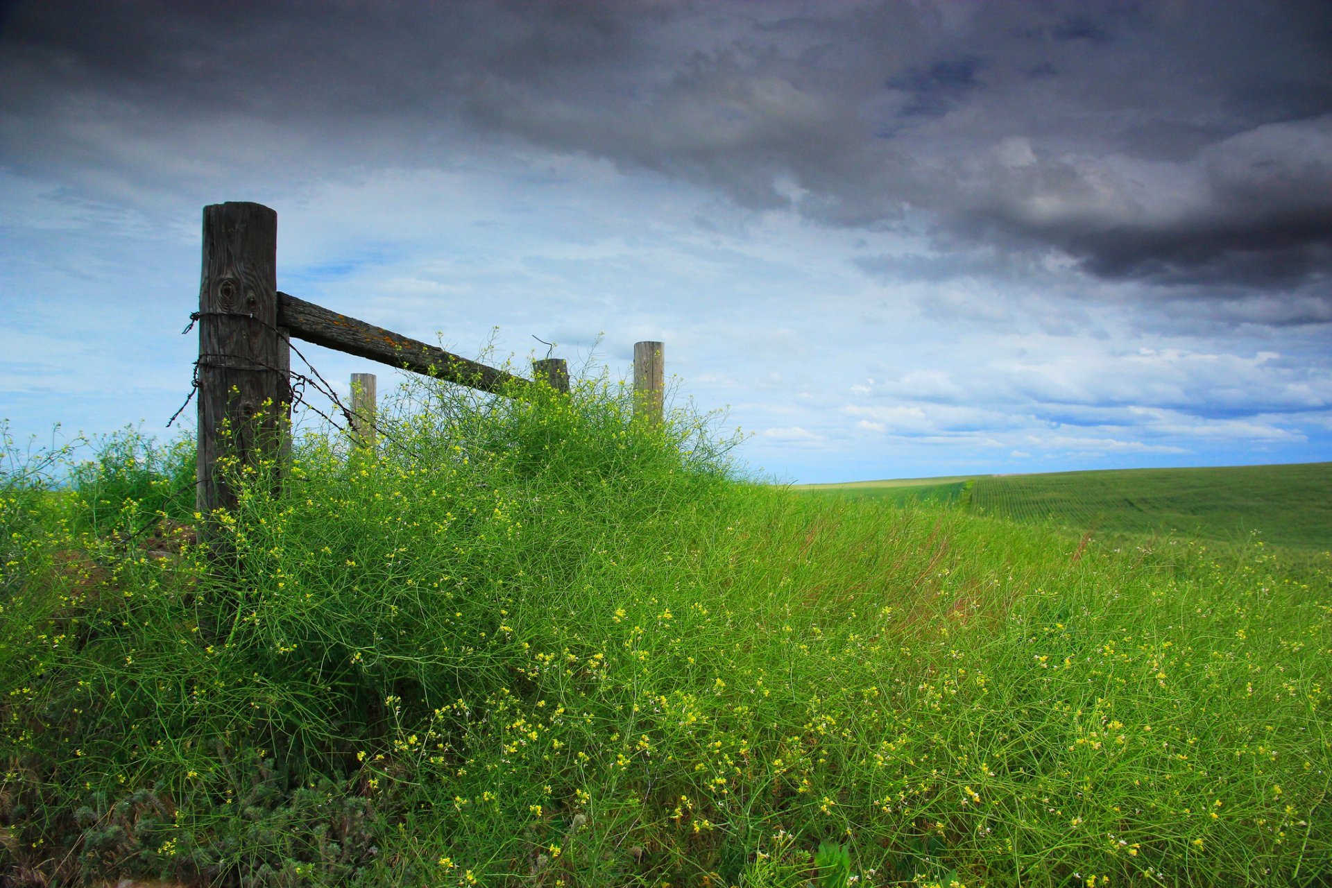 himmel wolken gras zaun