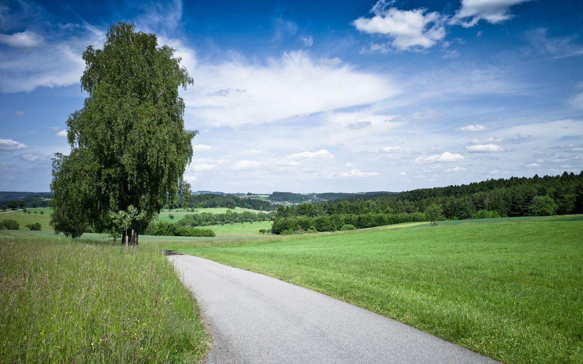 naturaleza camino árbol hierba cielo verano