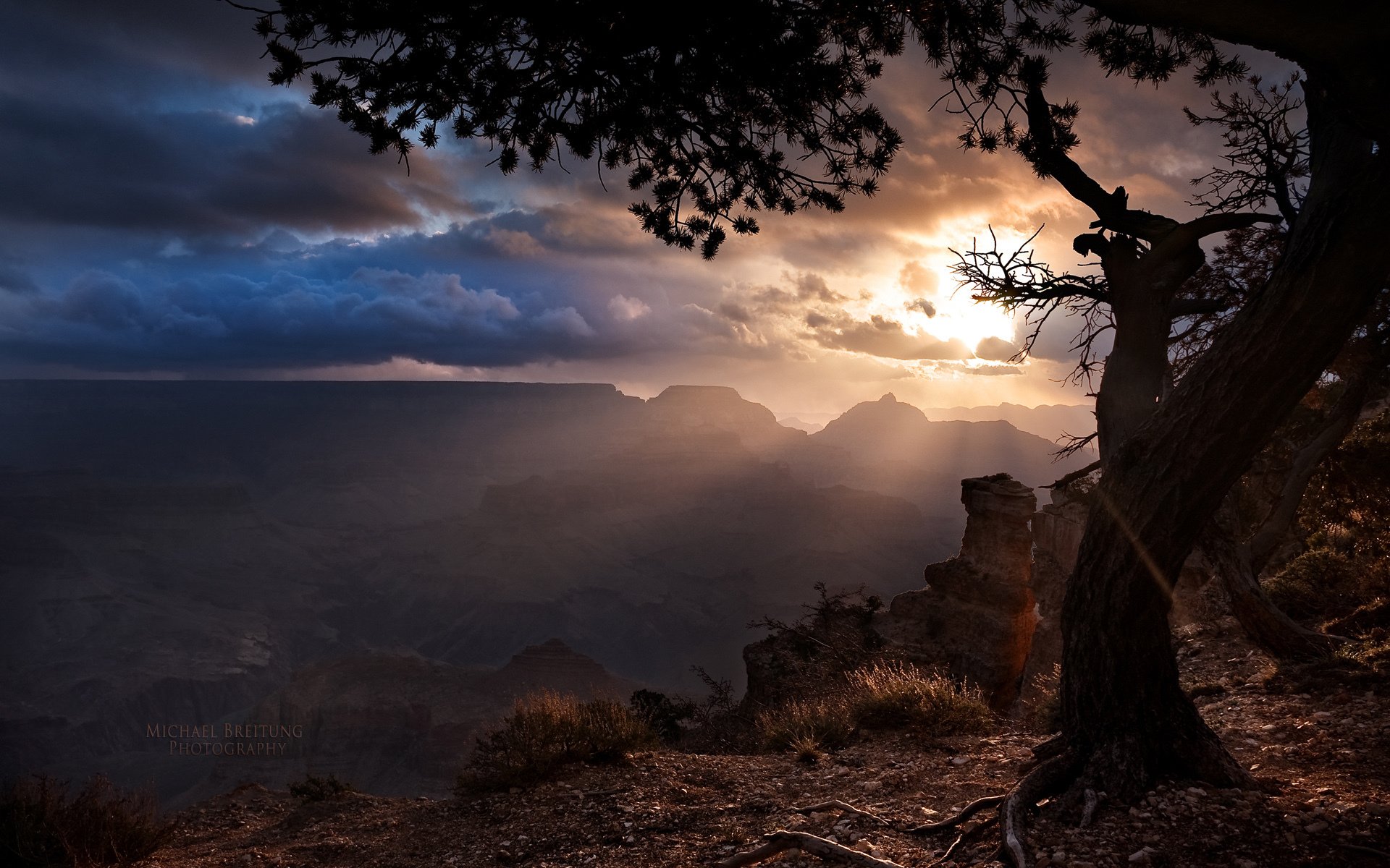 arizona grand canyon arbre nuages rayons du soleil