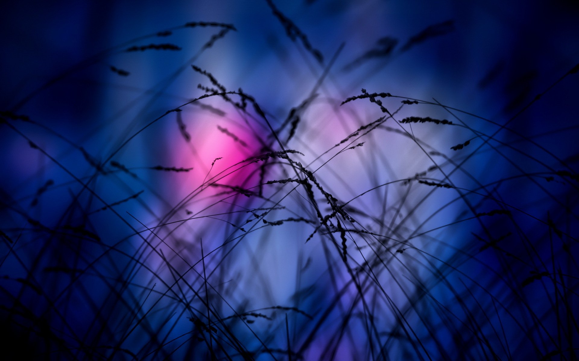 night grass background