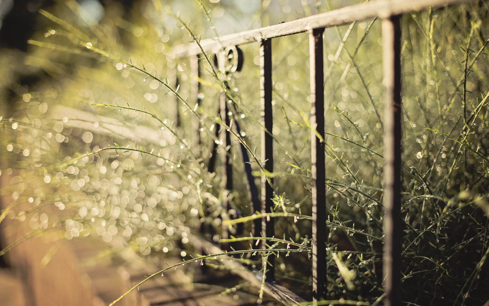 grass fence close up