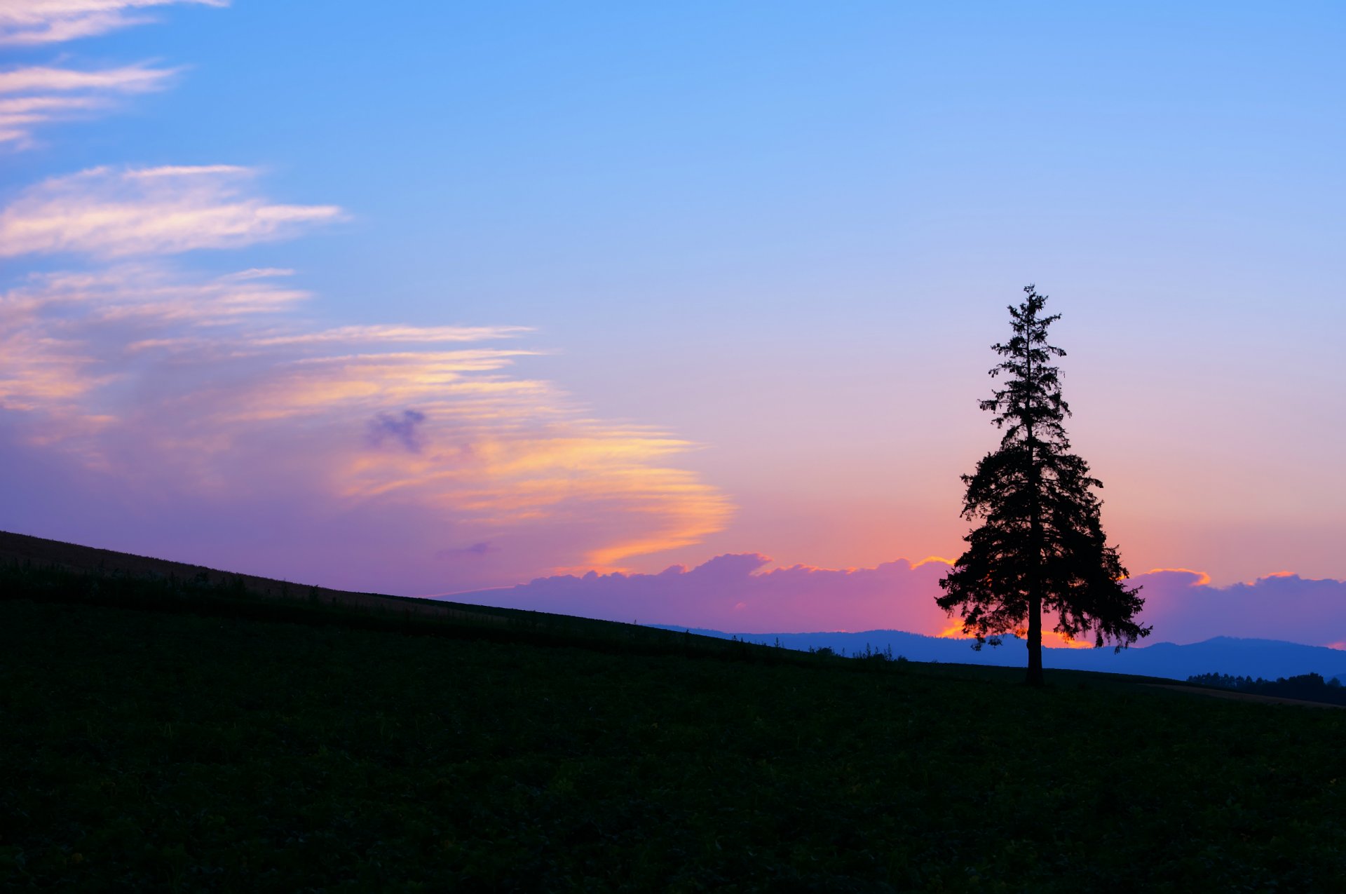 night bright sunset blue sky clouds the field tree slope