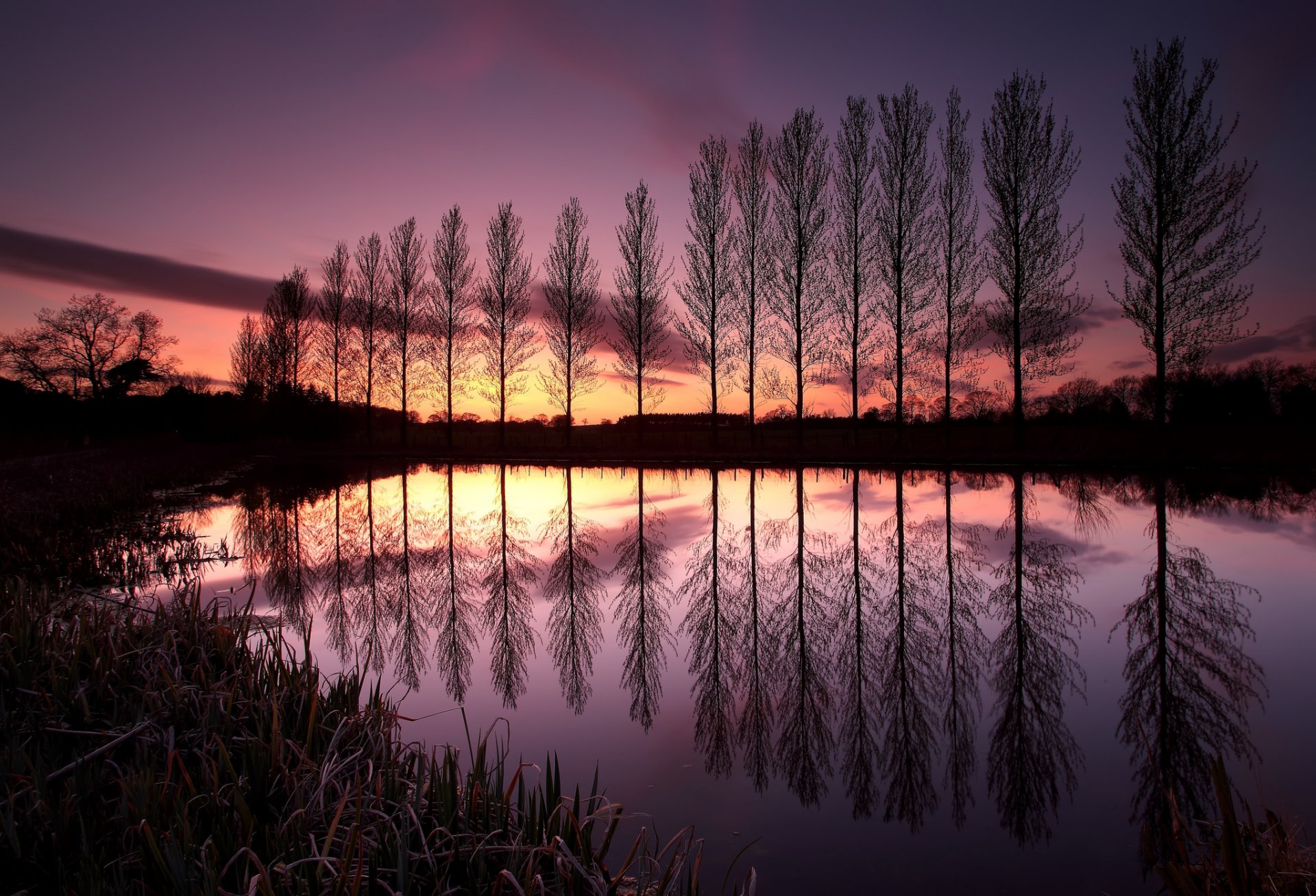 reino unido inglaterra árboles fila lago reflexión tarde puesta del sol cielo nubes