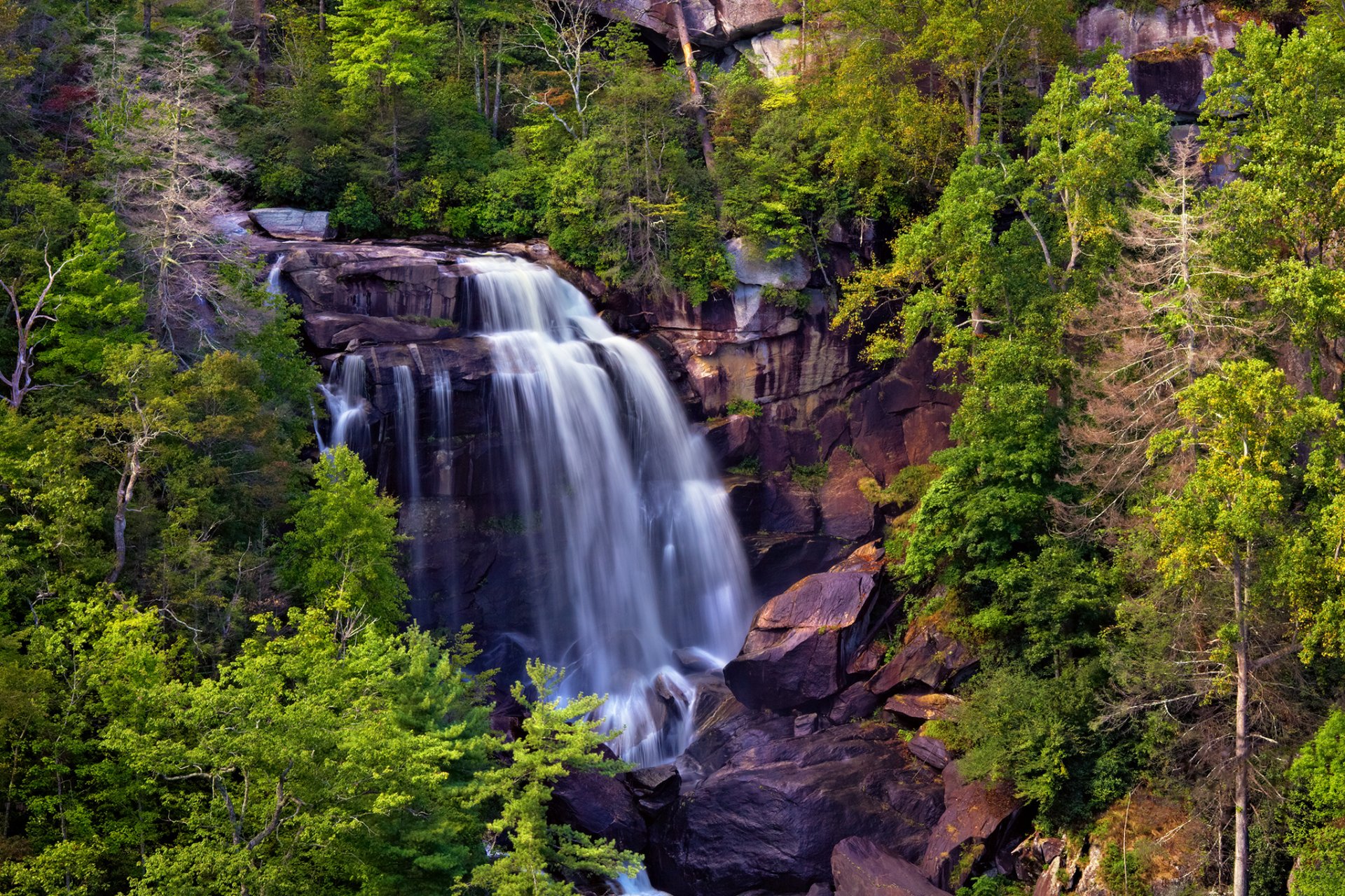 whitewater falls cascade roches ruisseau arbres