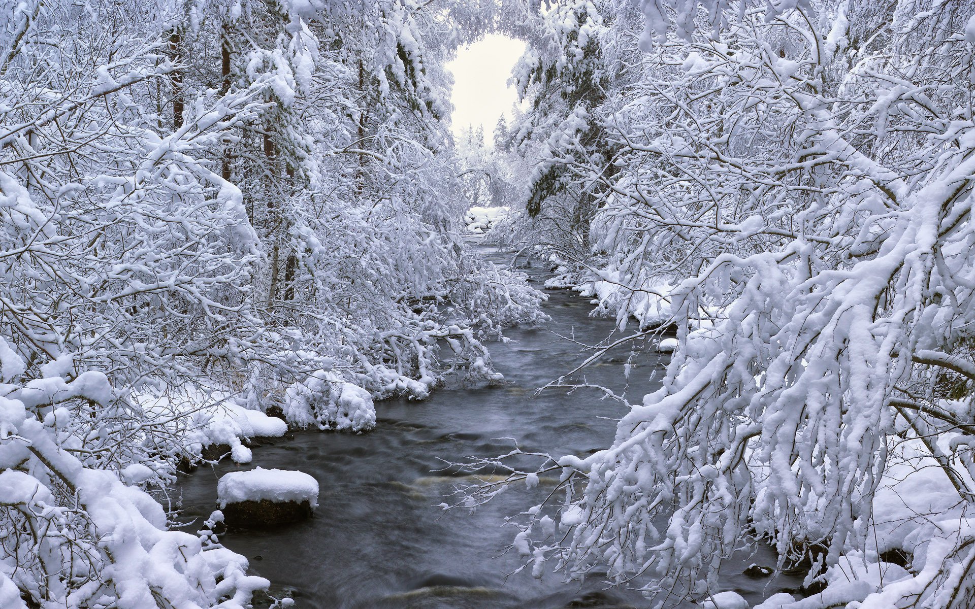 böle dalarna sweden winter snow forest tree river