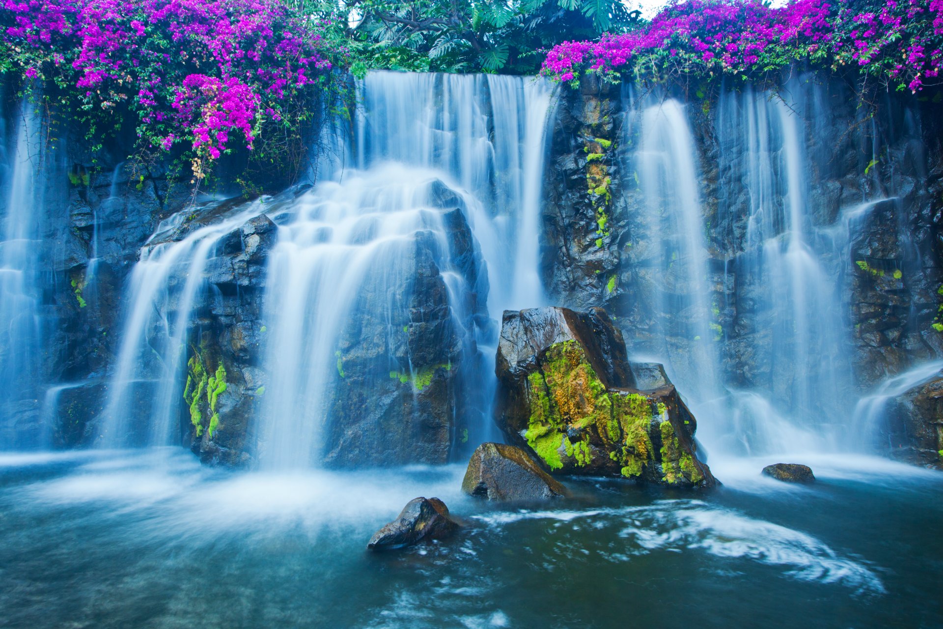 piedras musgo flores cascada