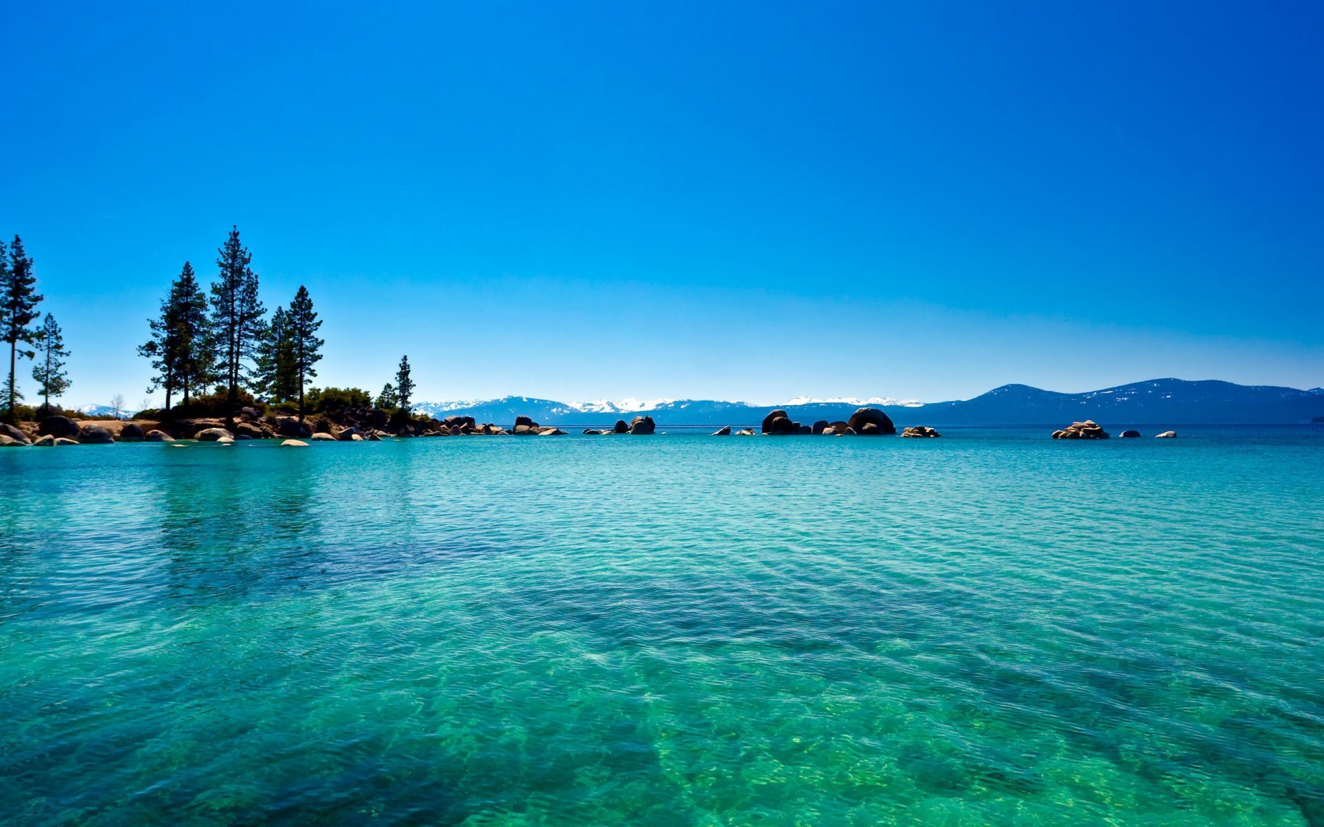 lake water blue forest lake tahoe california