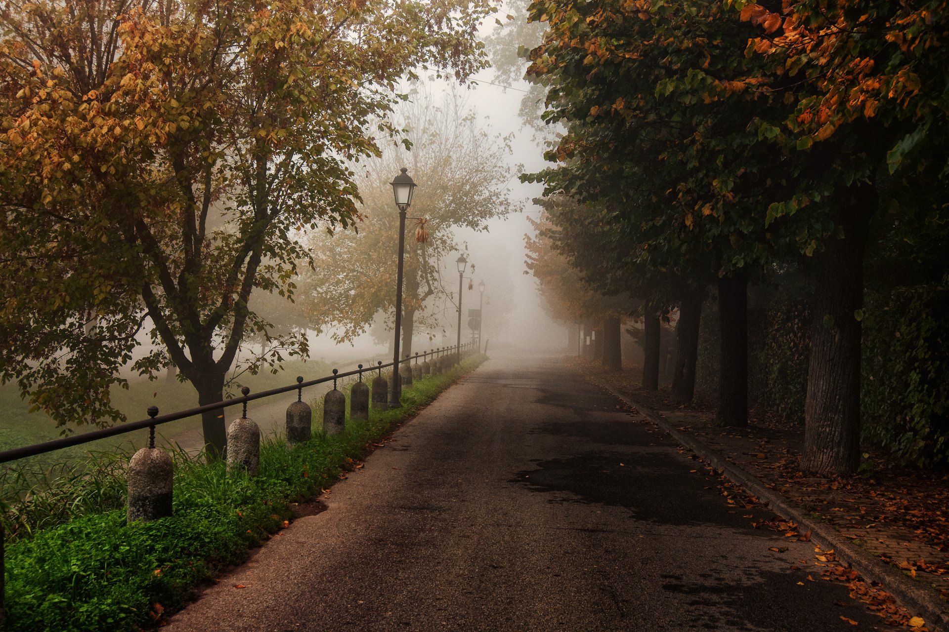 natura autunno parco strada recinzione alberi fogliame sergio locatelli rhotography