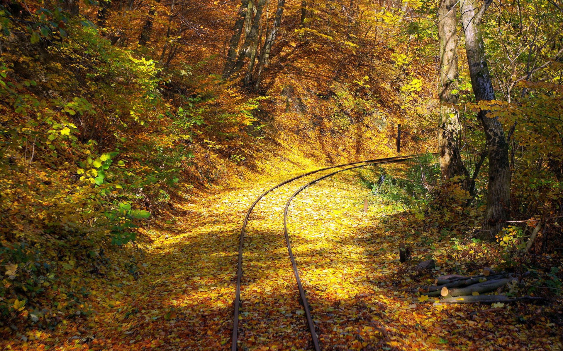 gelée route rails traverses forêt.arbres feuilles branches feuillage automne