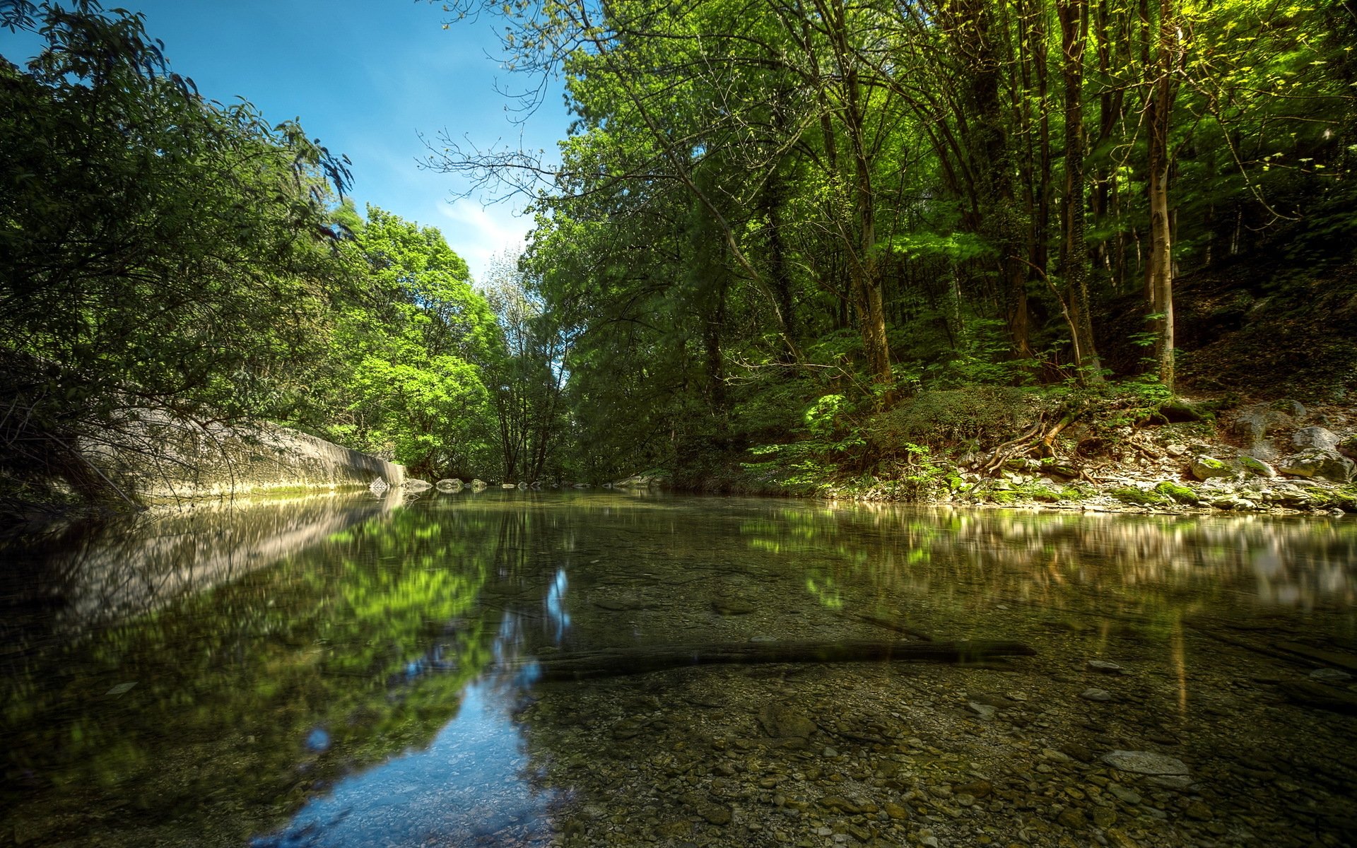 river forest nature summer