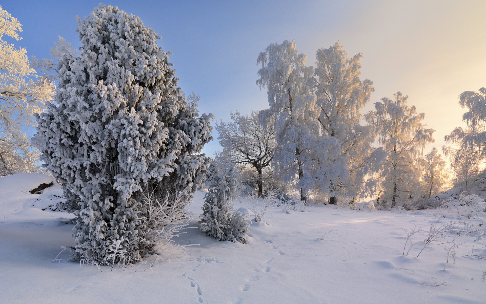 vagnhärad södermanland suède hiver neige arbres