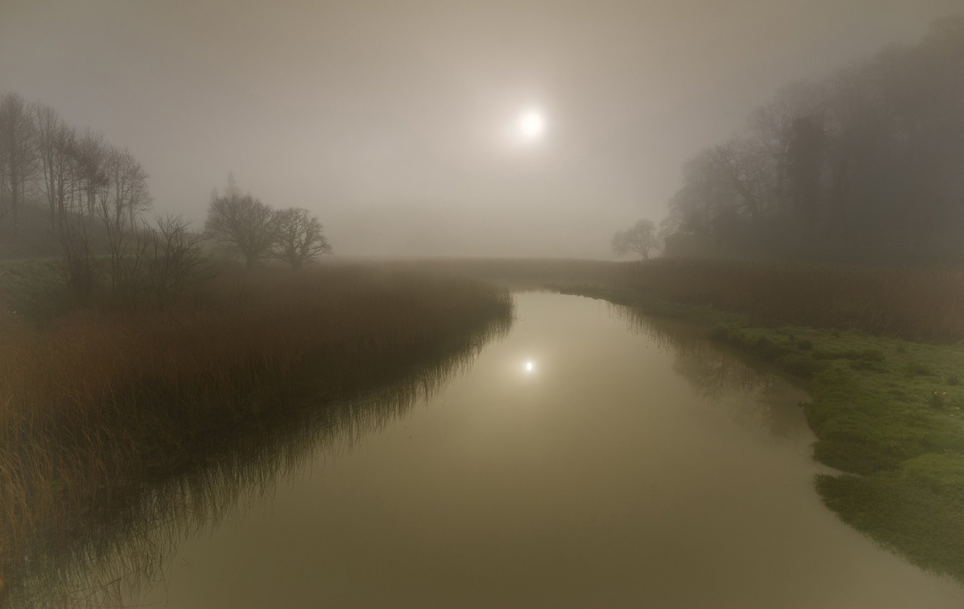 nebbia fiume alberi sole riflessione erba