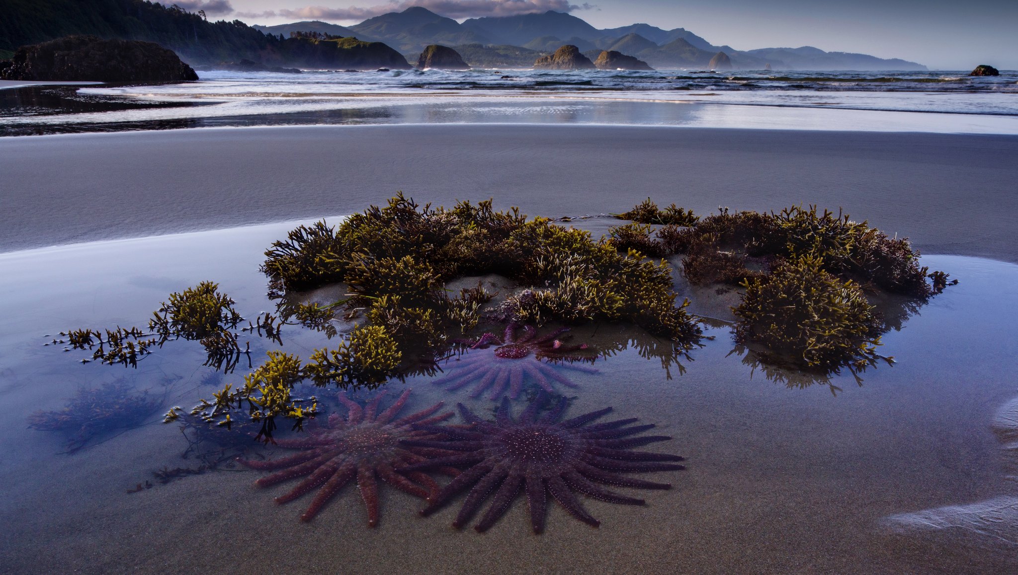 natur sonnensterne meer strand