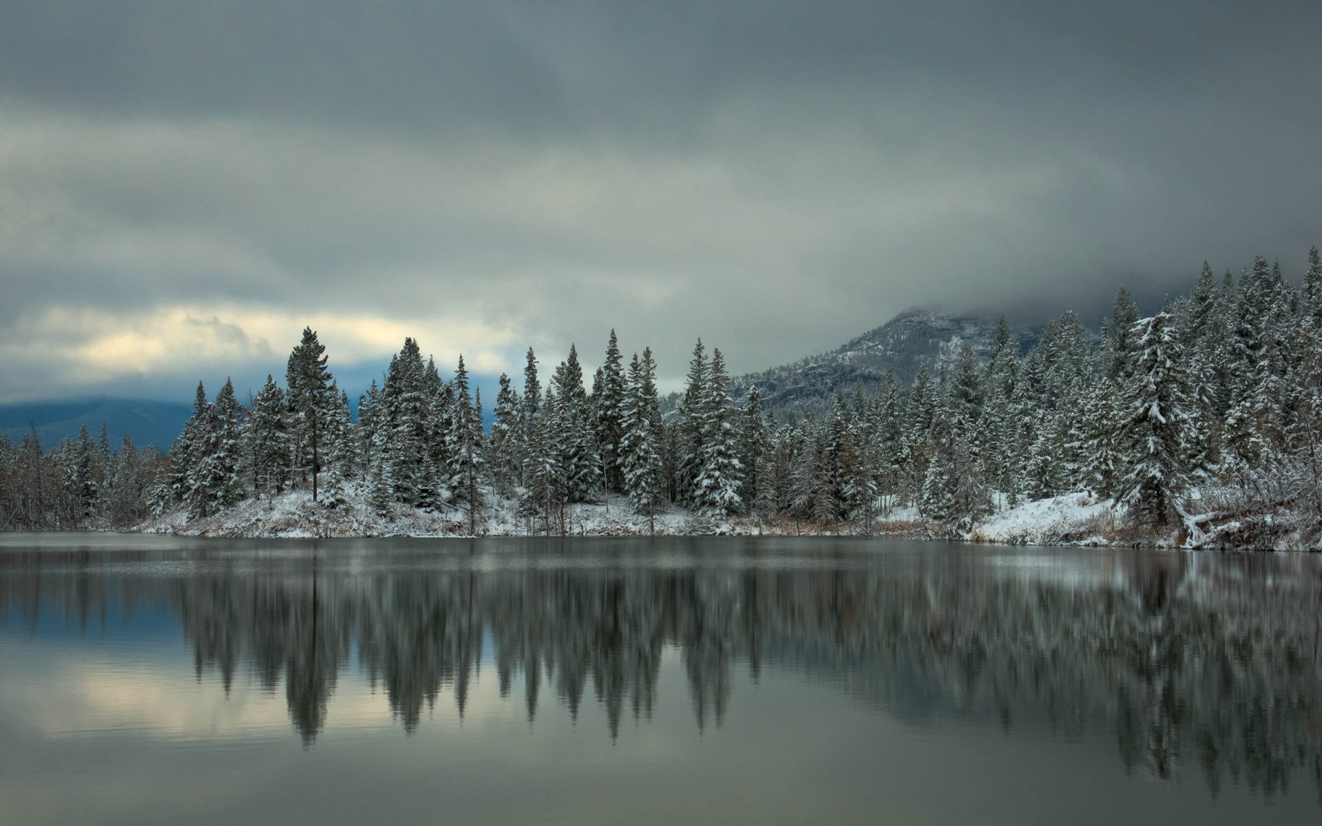 winter snow lake forest tree spruce mountain reflection