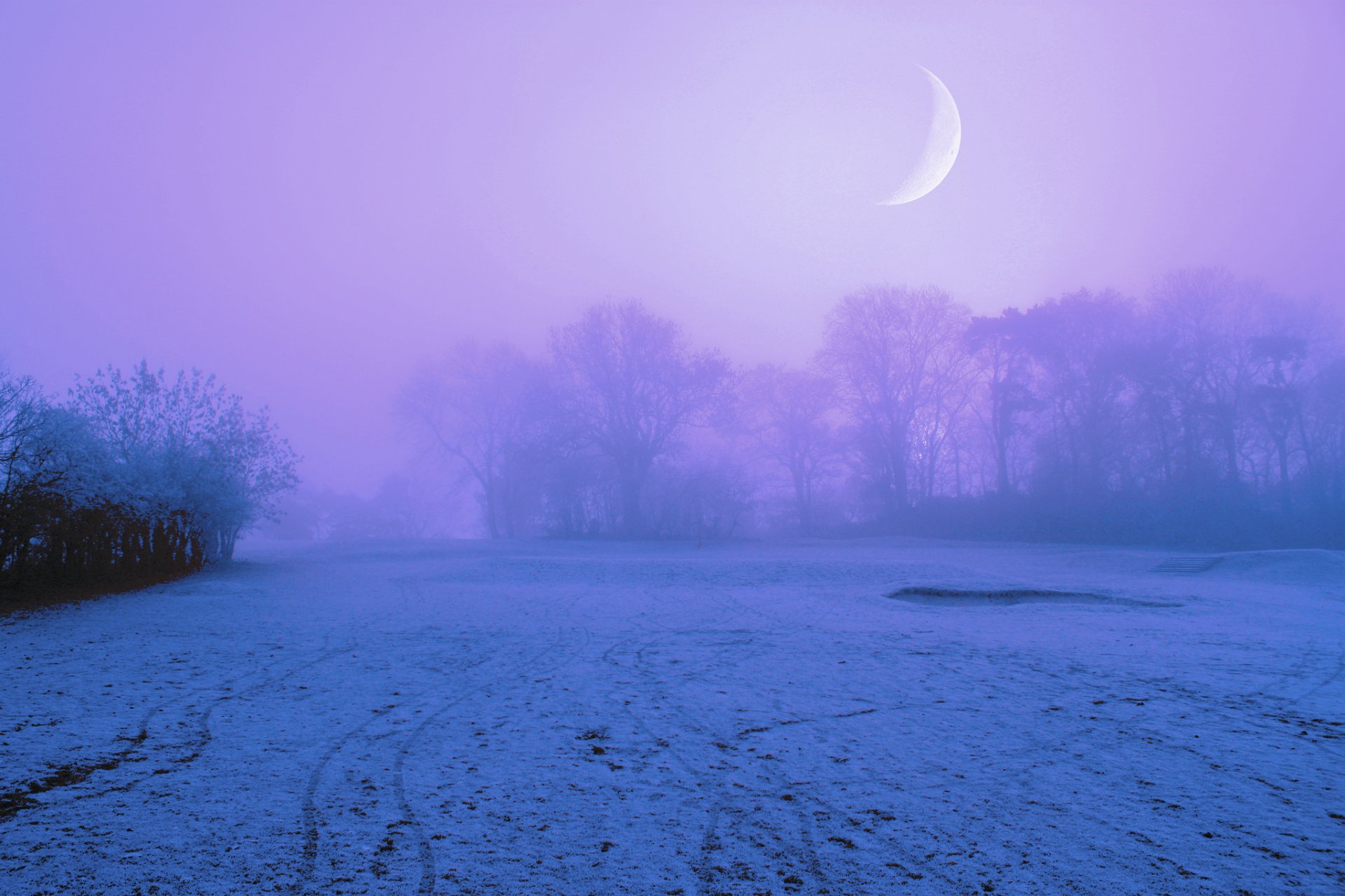 hiver neige clairière arbres brouillard nuit lilas ciel lune