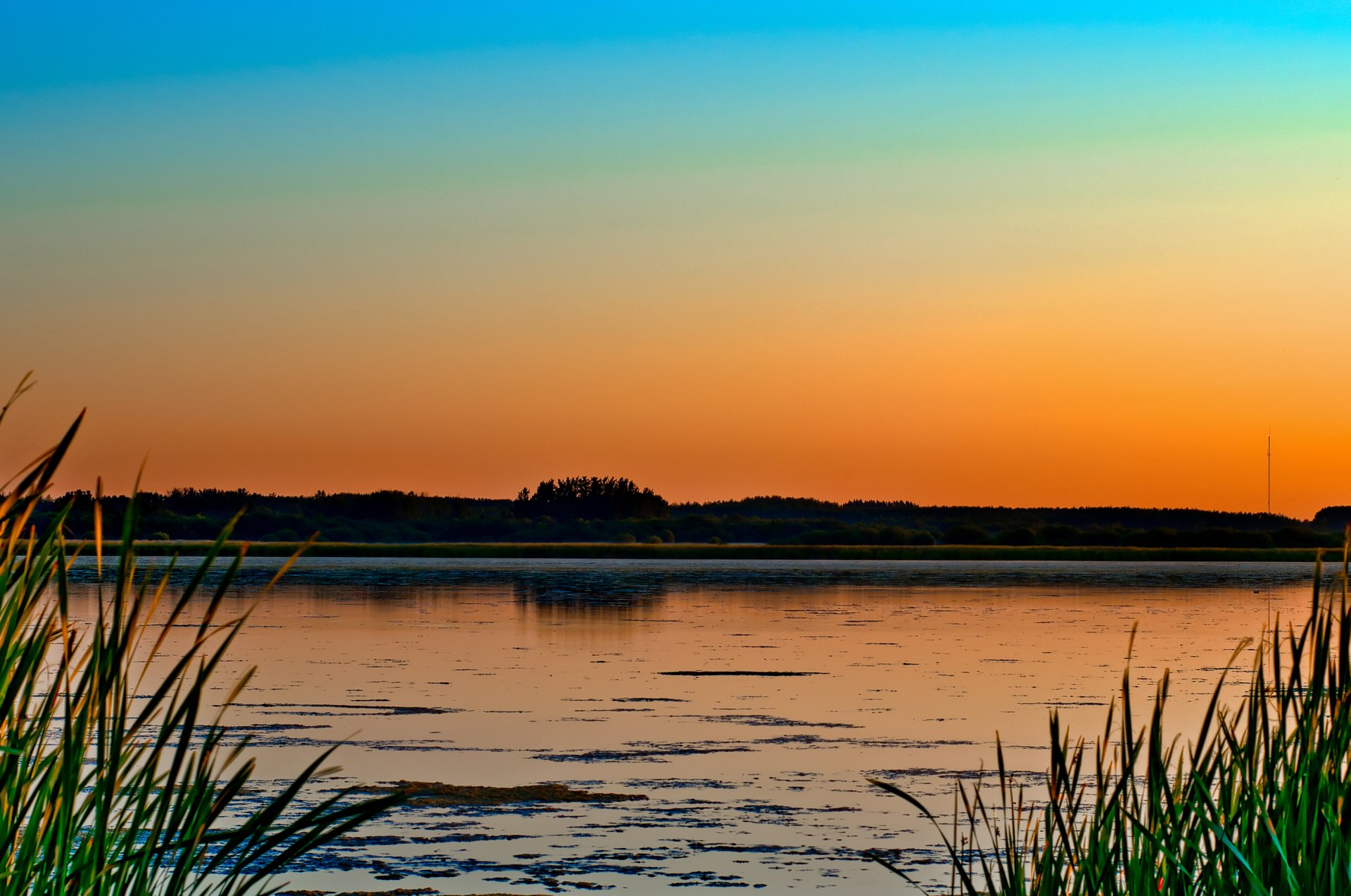 lago natura palude erba alberi sera tramonto