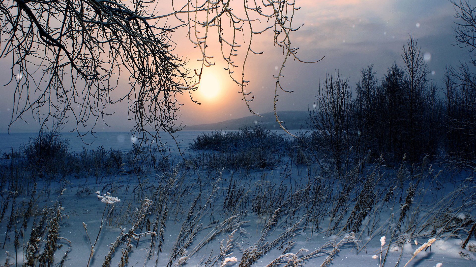 invierno nieve naturaleza