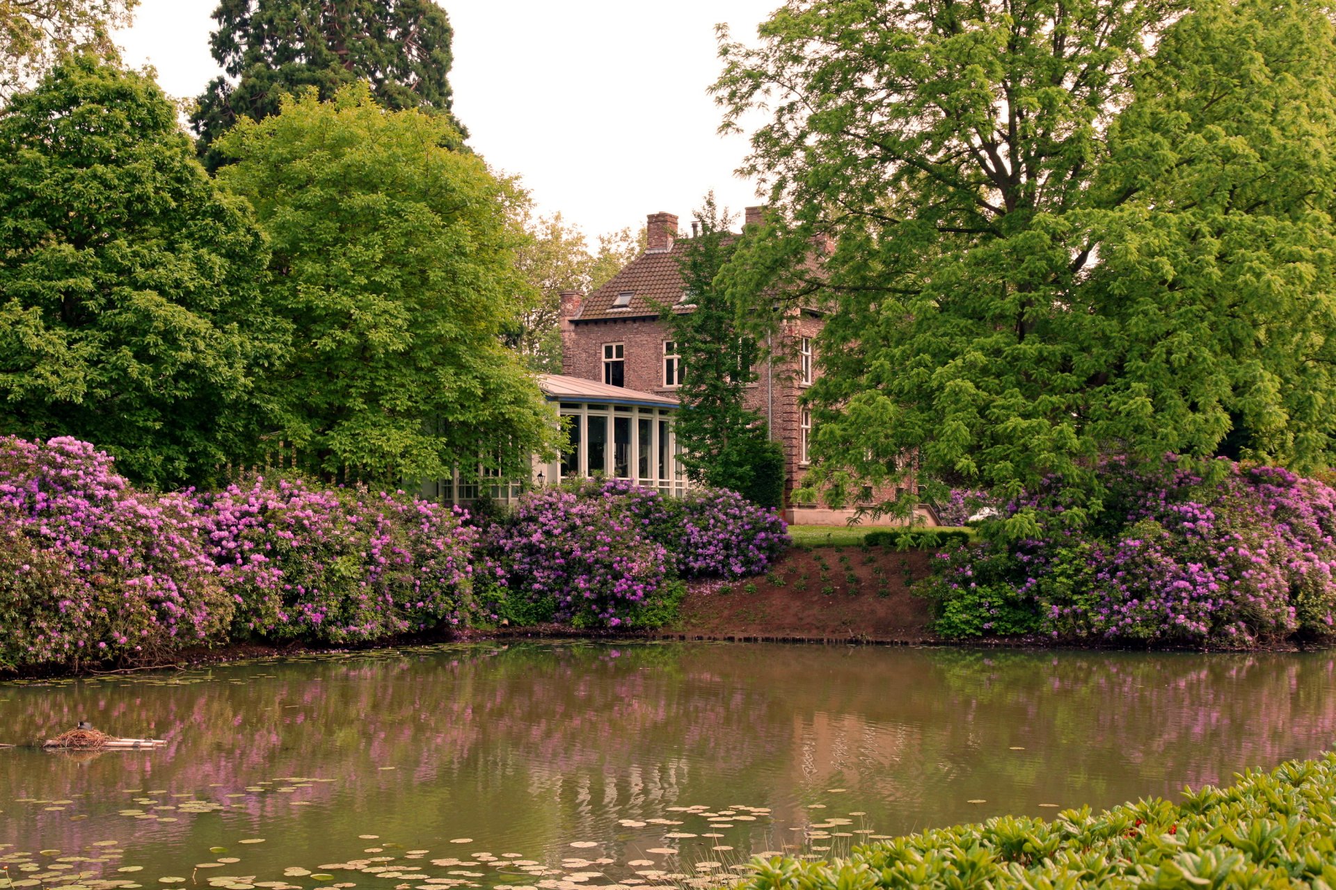 parc arbres fleurs étang maison