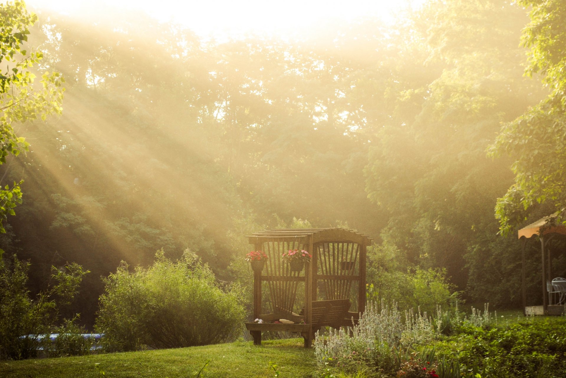 nature bench sun rays flower tree green