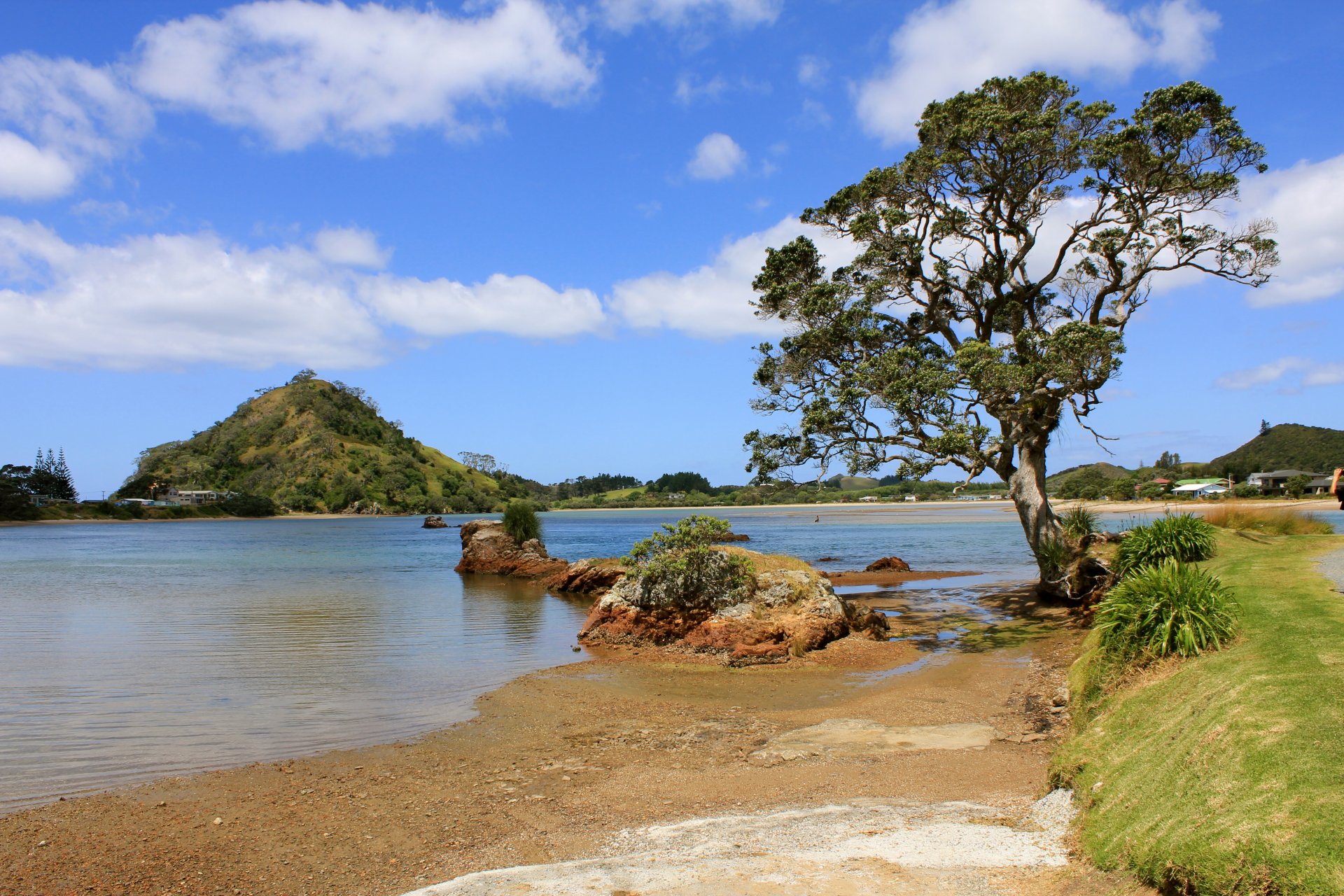 árbol río lago arena piedras colinas hierba nubes