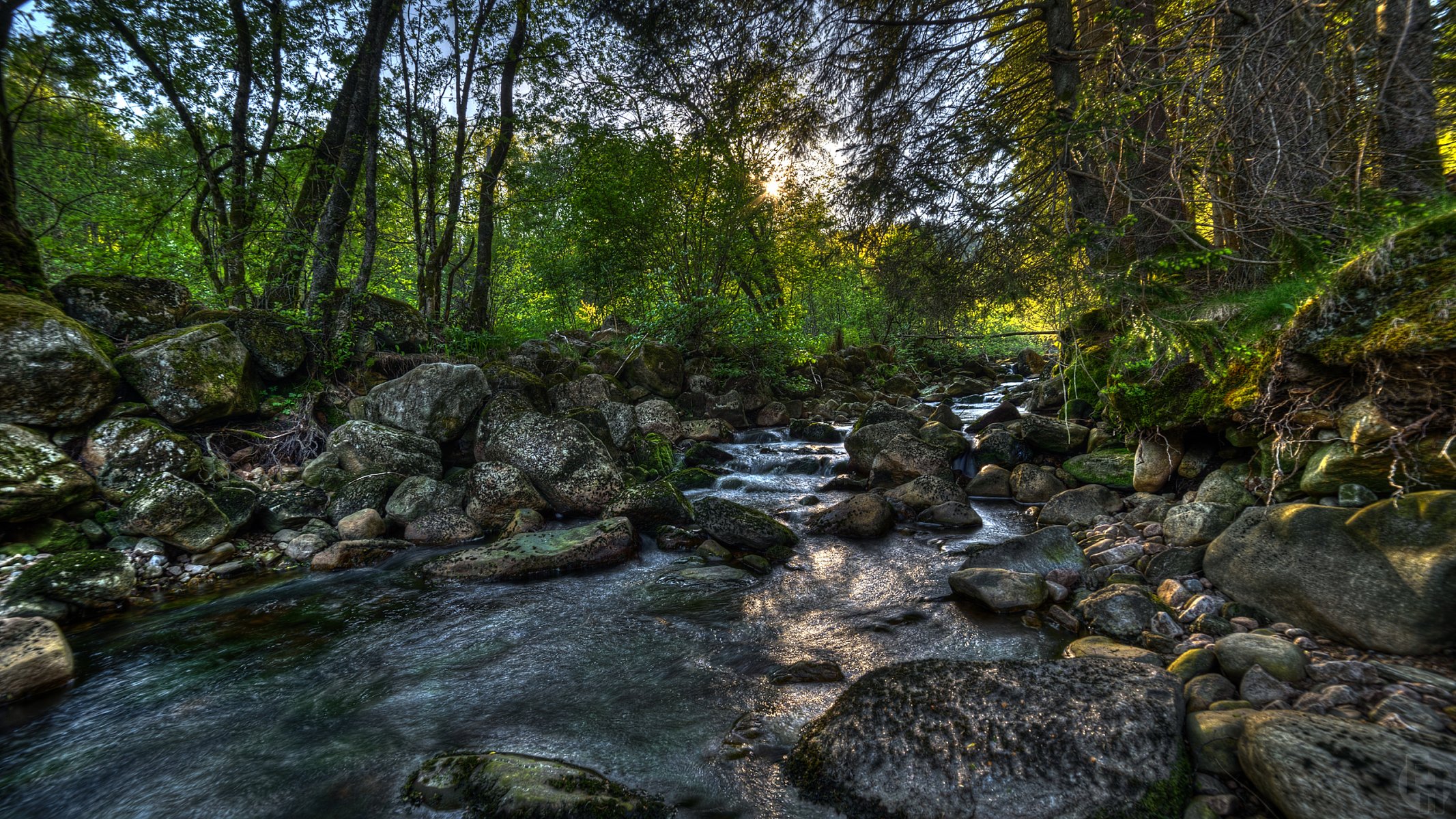 norwegen wald fluss steine bäume