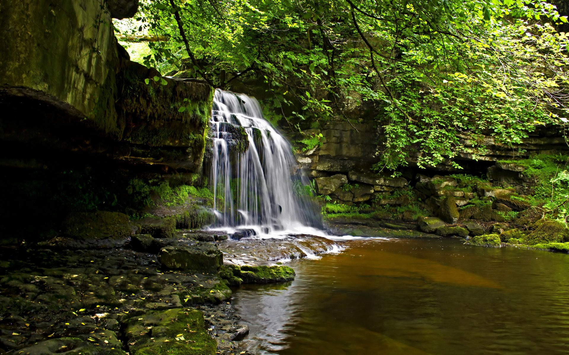 rivière cascade forêt nature