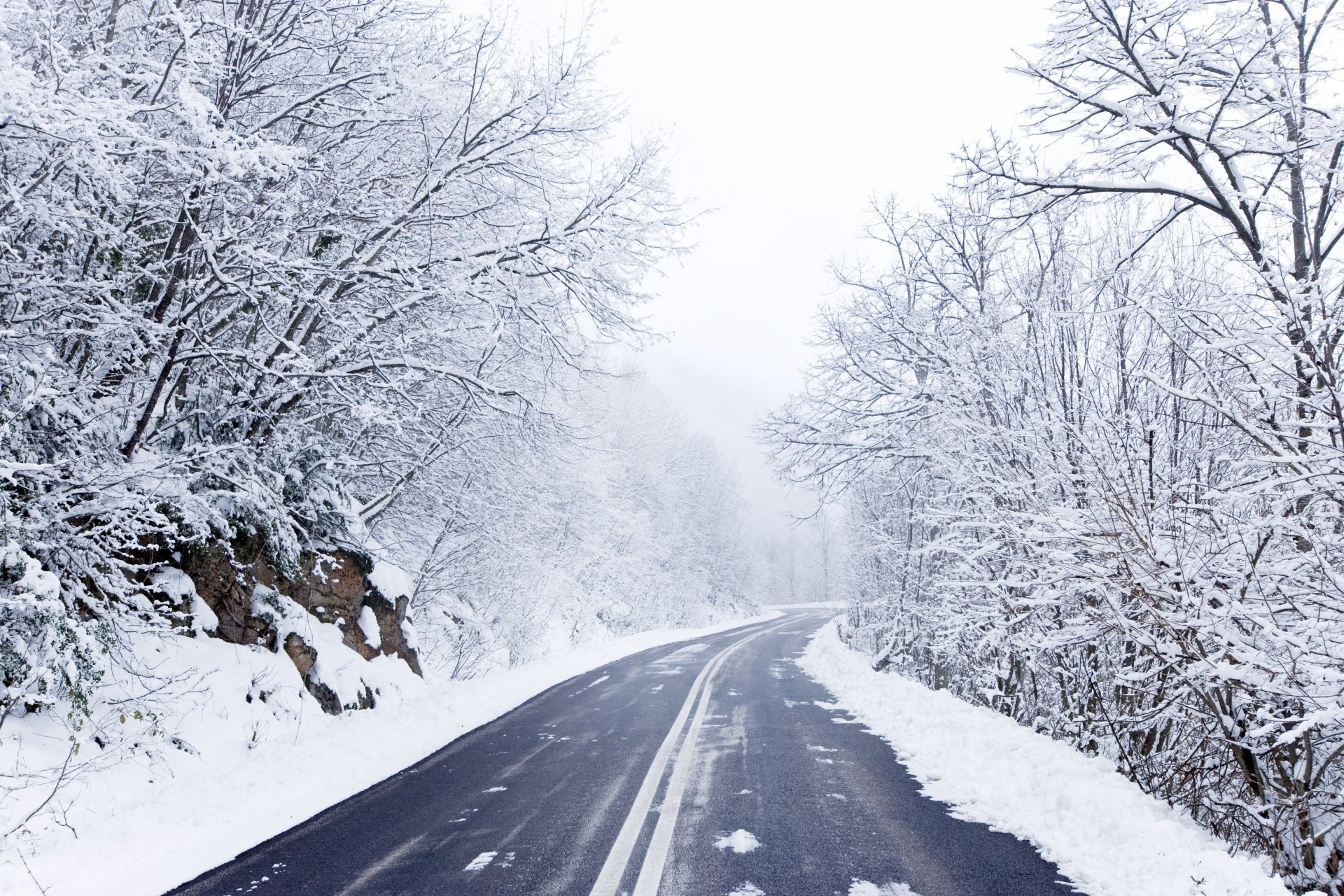 straße bäume schnee winter