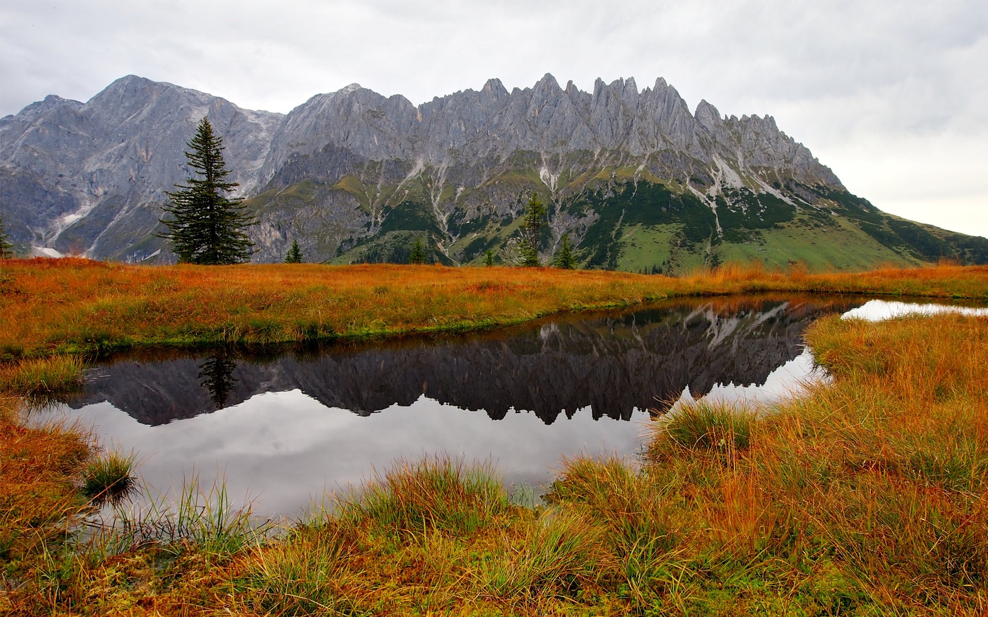 natur herbst berge wasser see gras bäume fichte