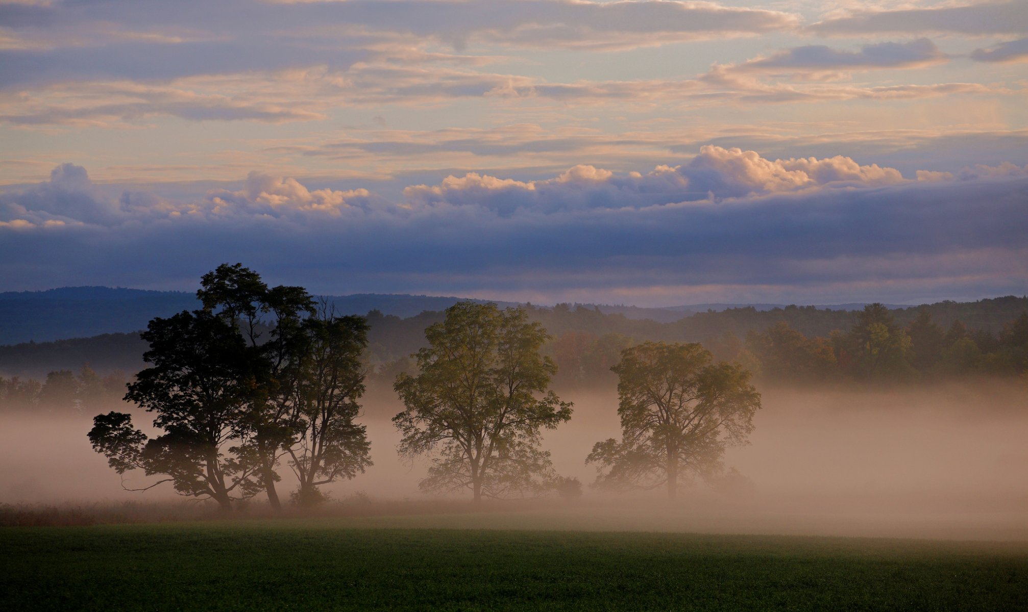 natura cielo nuvole alberi nebbia