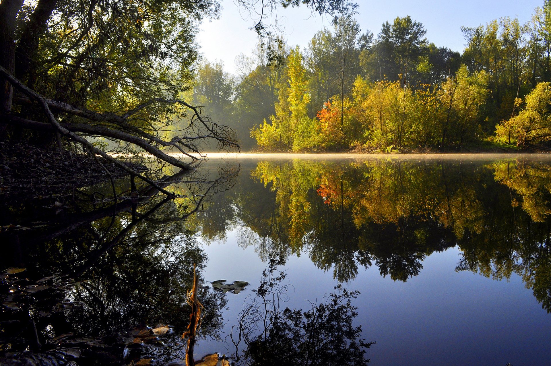 naturaleza lago agua árboles superficie reflexión mañana sol