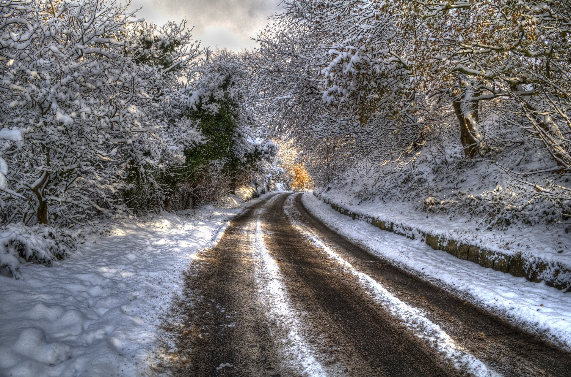 natur landschaft wald winter berge bäume schnee straße