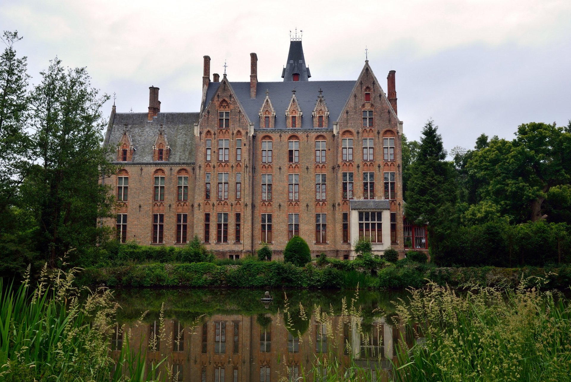 castle tree grass pond